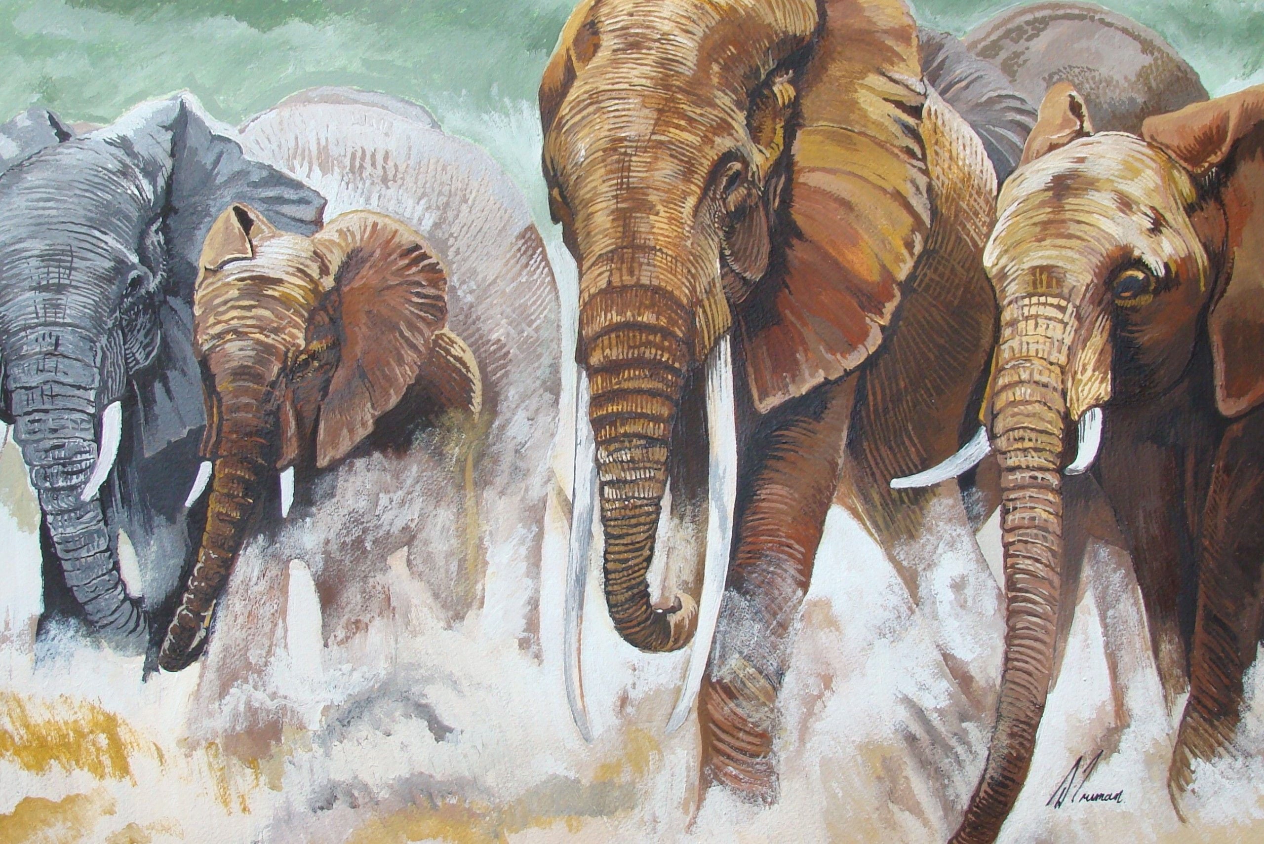 Elephant Postcards