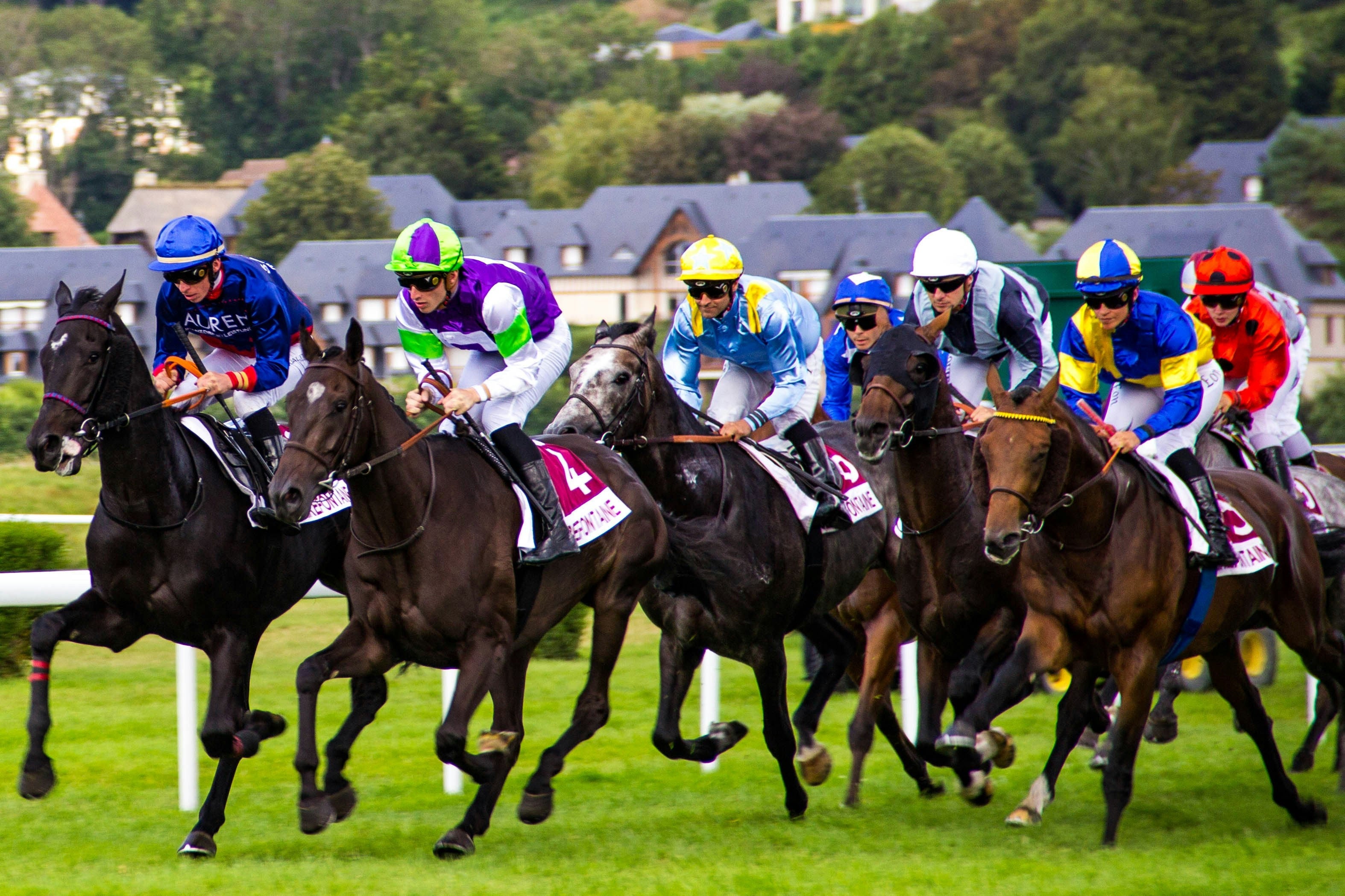 Horse Racing Postcards