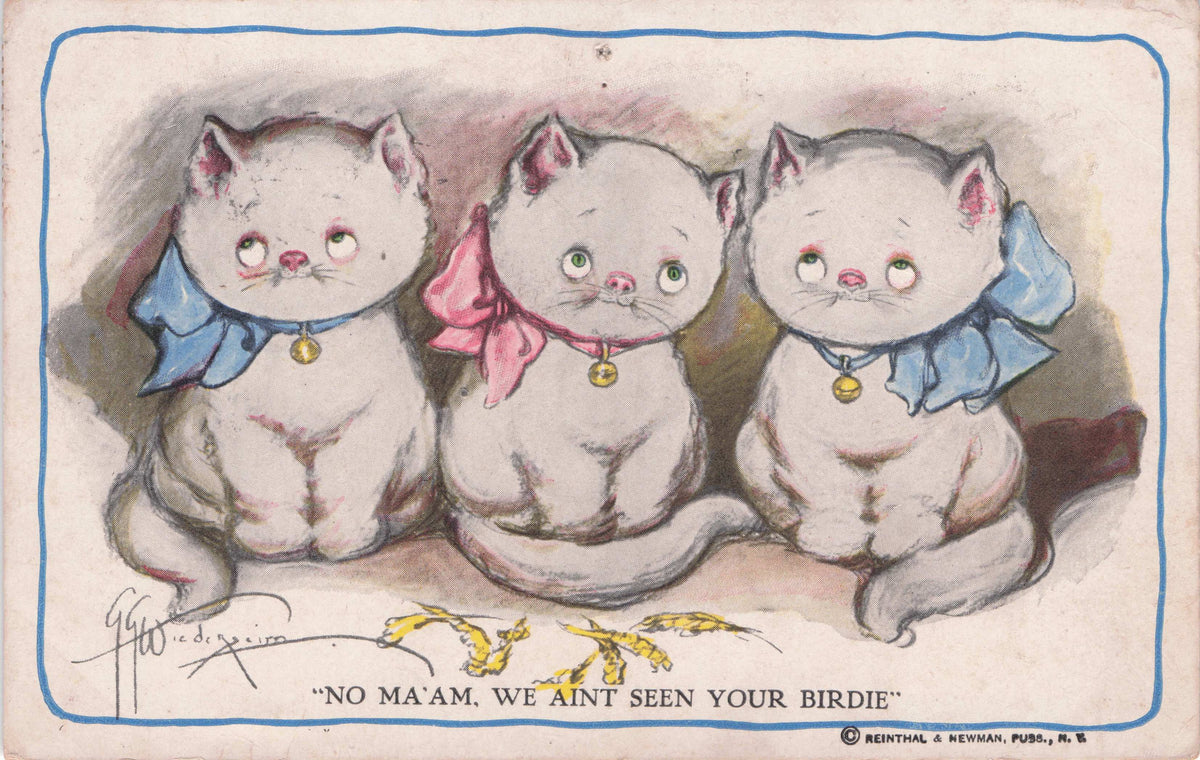 No Maam We Aint Seen Your Birdie Kittens Birds Antique Cute Comic Postcard