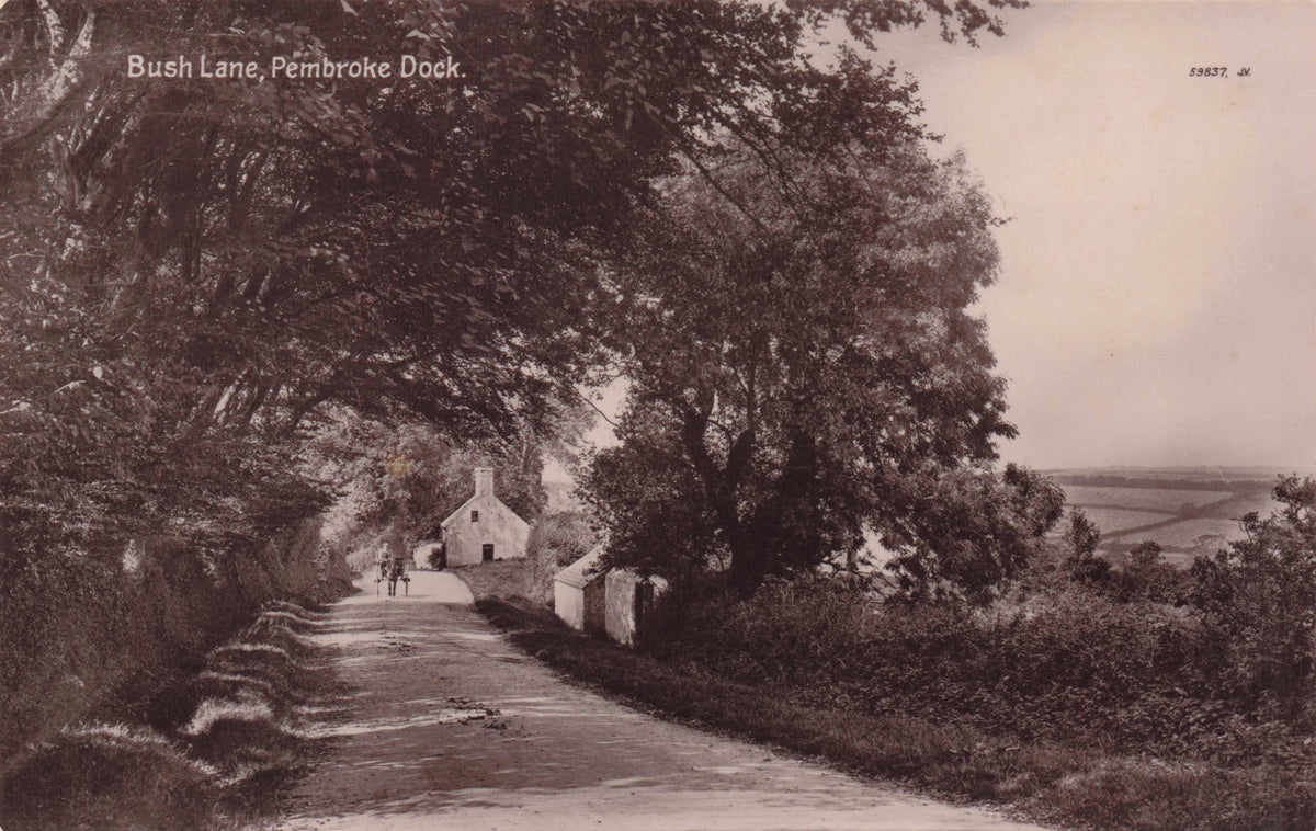 Bicycle at Bush Lane Pembroke Wales Antique Welsh Real Photo Postcard