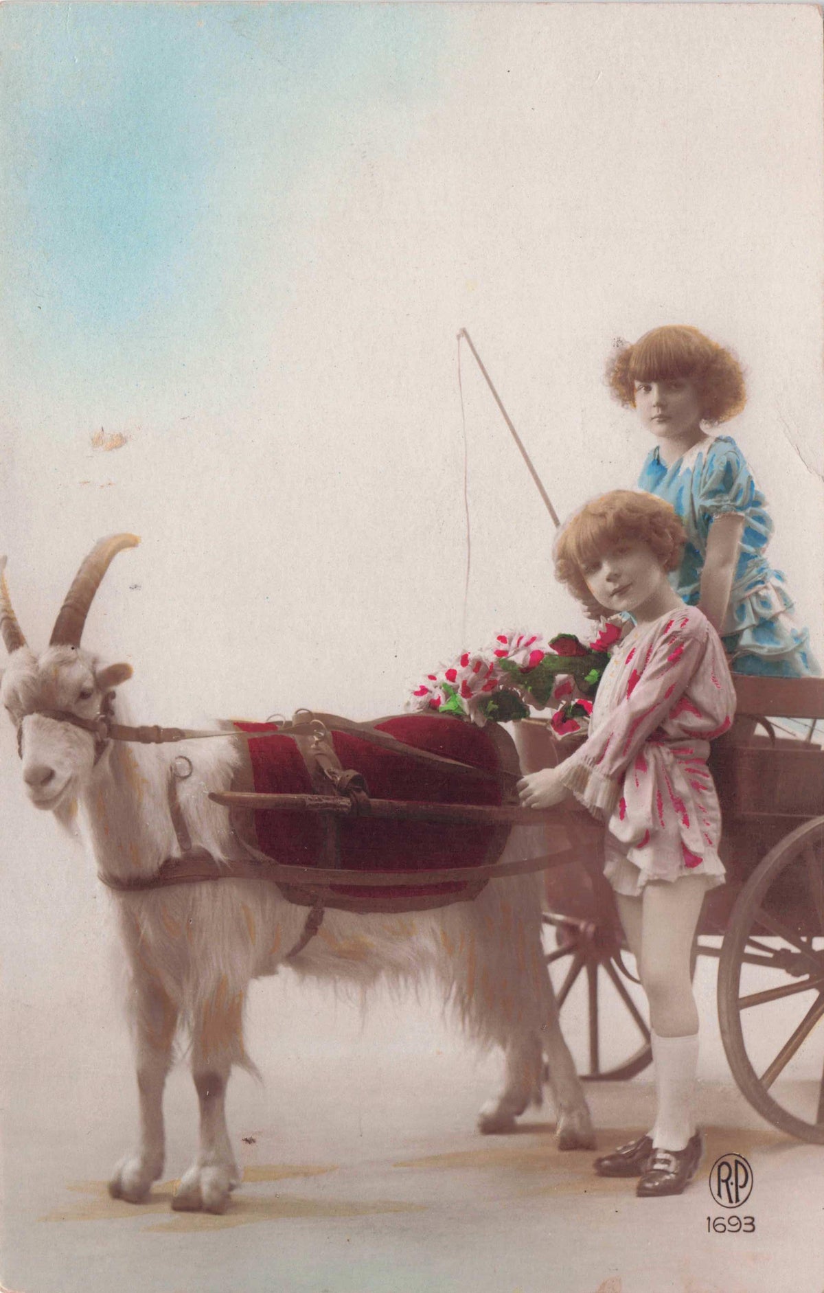 Children & Unique Goat In Old Transport Uniform Riding Crop Tinted Colour Postcard