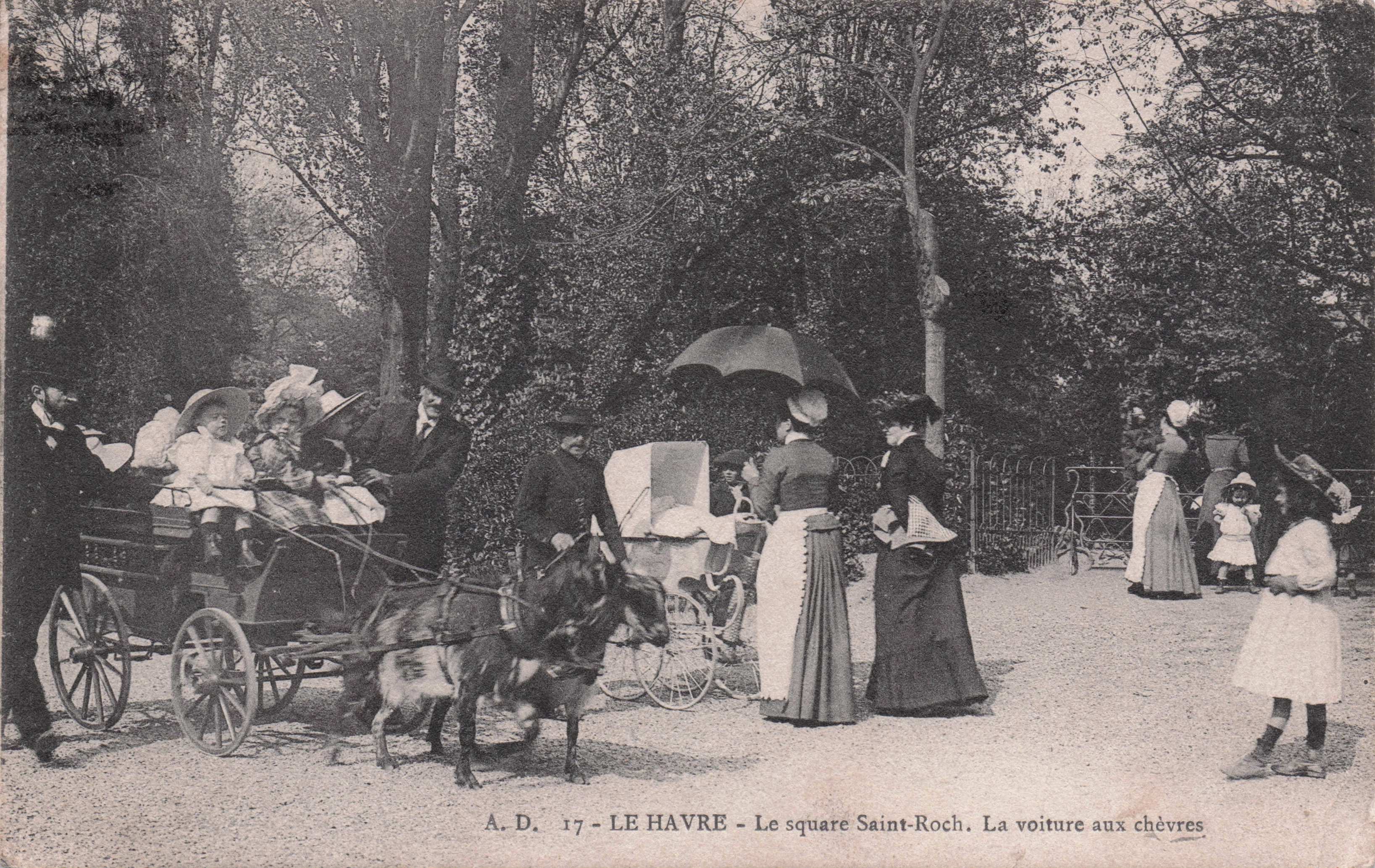 Le Havre Square St Roche Voiture Aux Chevres RARE French Donkey Ride Postcard