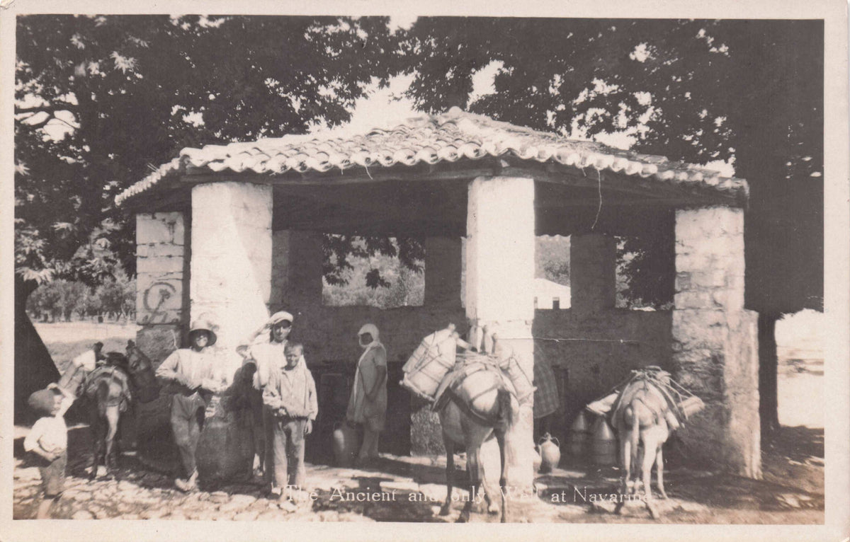 Animals At Navarine Peloponnese Bay Greece Old Real Photo Postcard