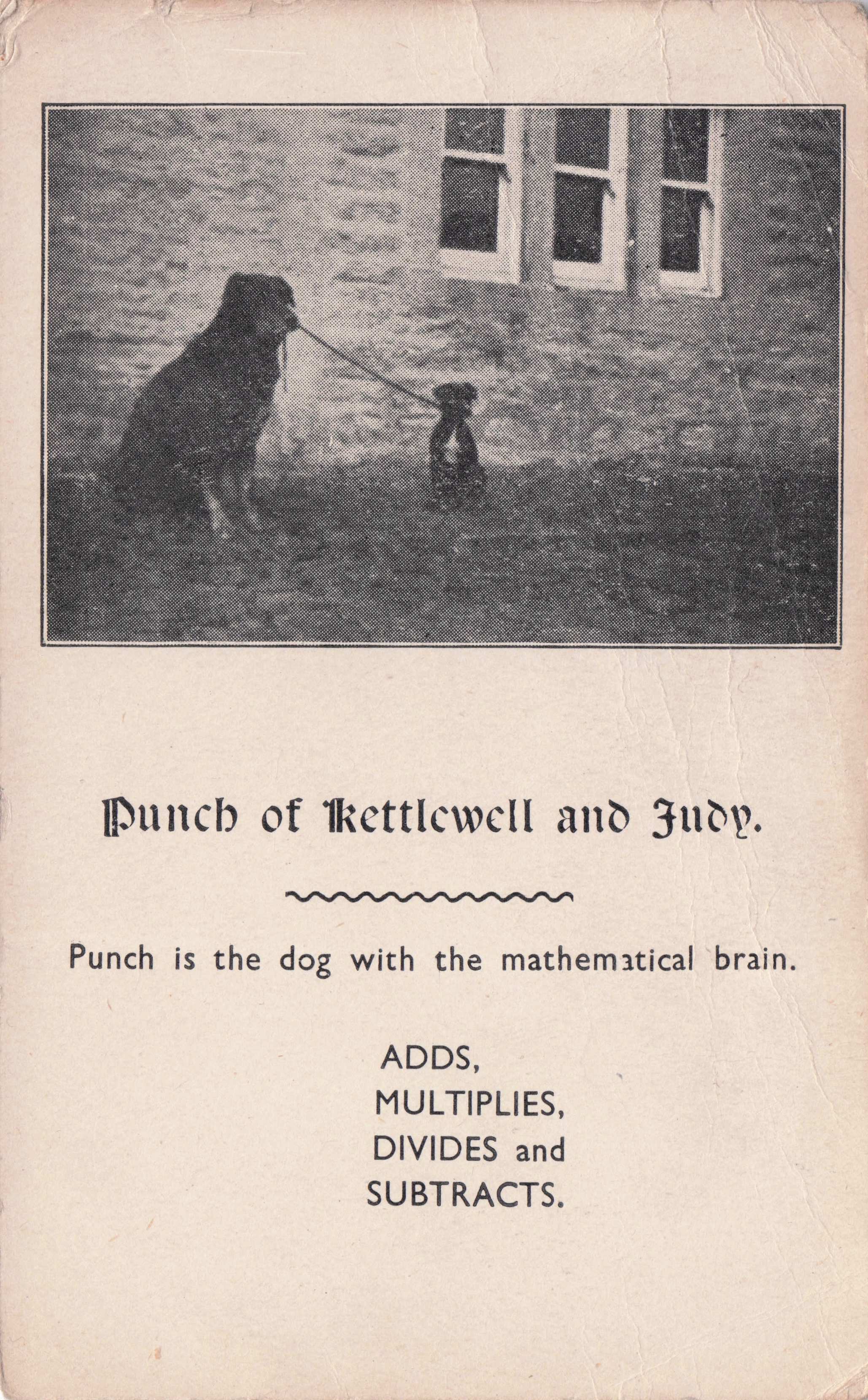 Punch & Judy Kettlewell Performing Maths Theatre Dog Old PB Yorkshire Postcard