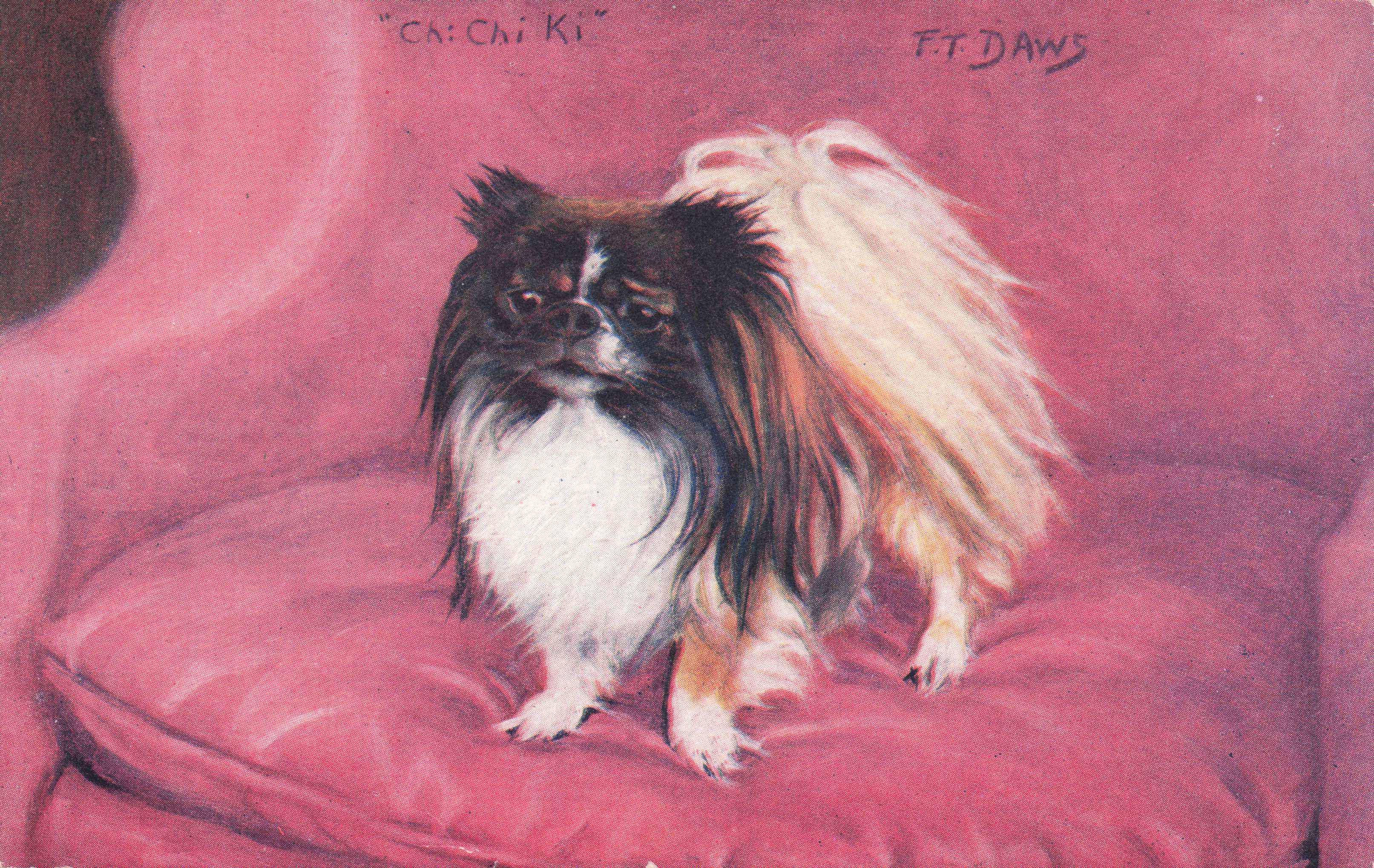 Pekinese Spaniel Spratts Food Old Champion Dog Breeding Antique Postcard
