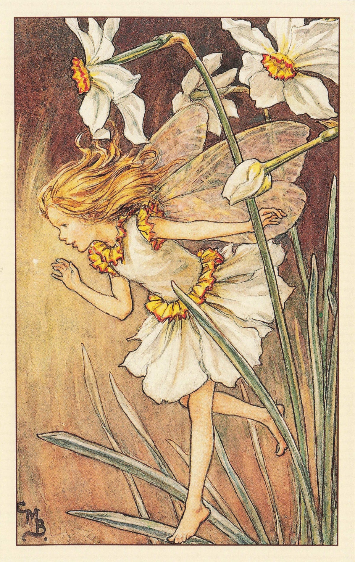 Narcissus Flower Fairy From WW2 Book Stunning Fairies Postcard