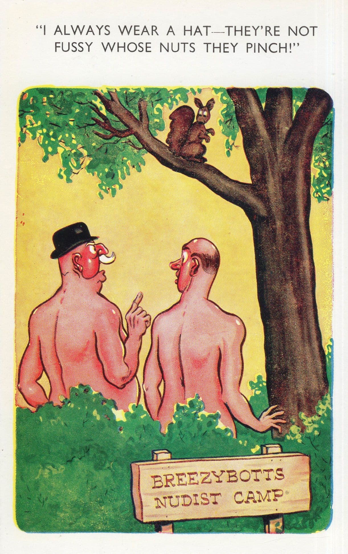 Squirrel At Nudist Camp Colony Dropping Poos Comic Postcard