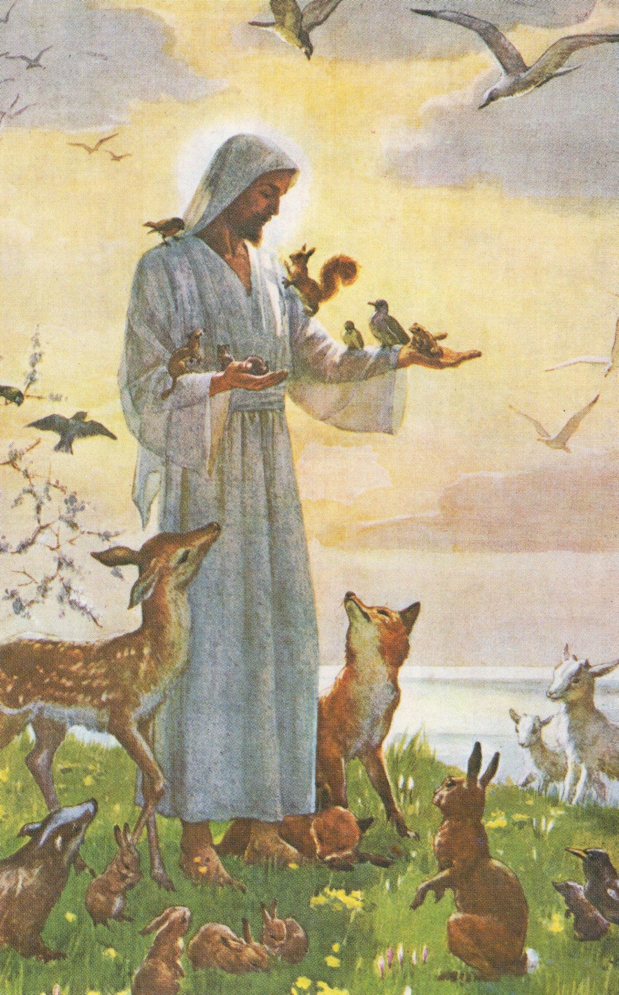 Squirrels Religious Painting Postcard