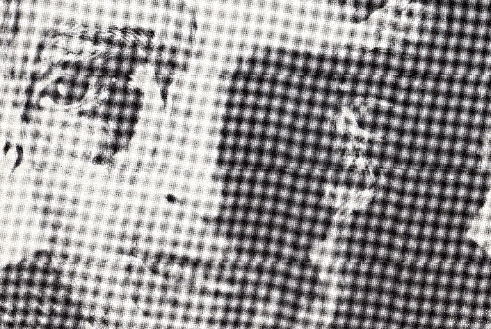 Stephen Jones Crush Male Brain Leatherface Photo Art Postcard