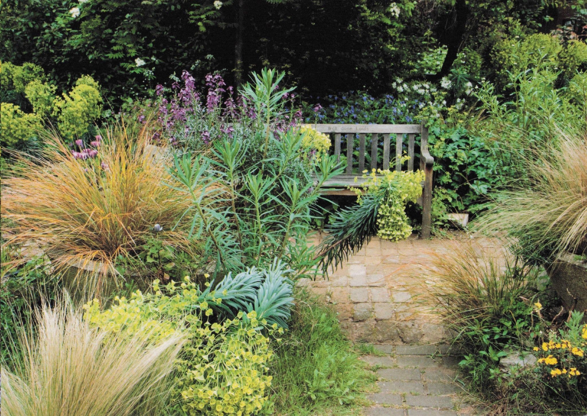 Summer in The Phoenix Gardens Stacey Street London Postcard