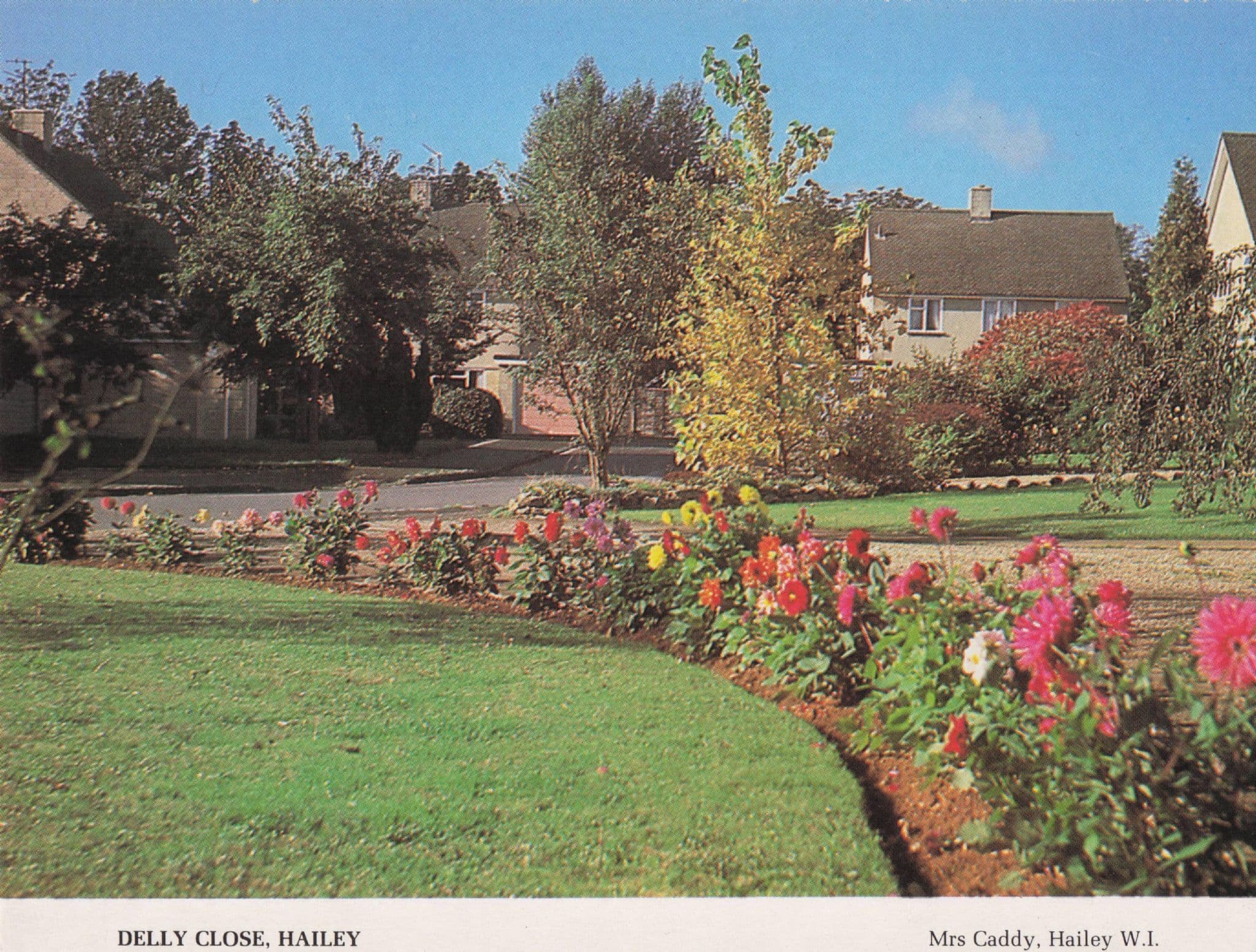 Summer's Day at Delly Close Hailey Oxford Women's Institute Postcard