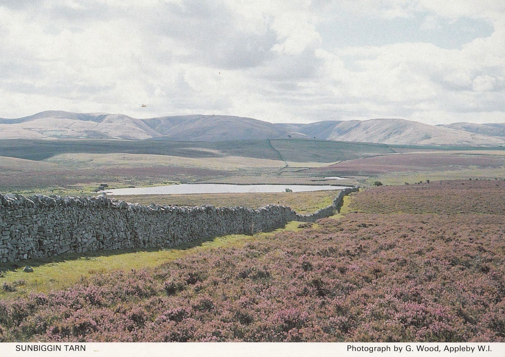 Sunbiggin Tarn Cumbria Womens Institute Postcard