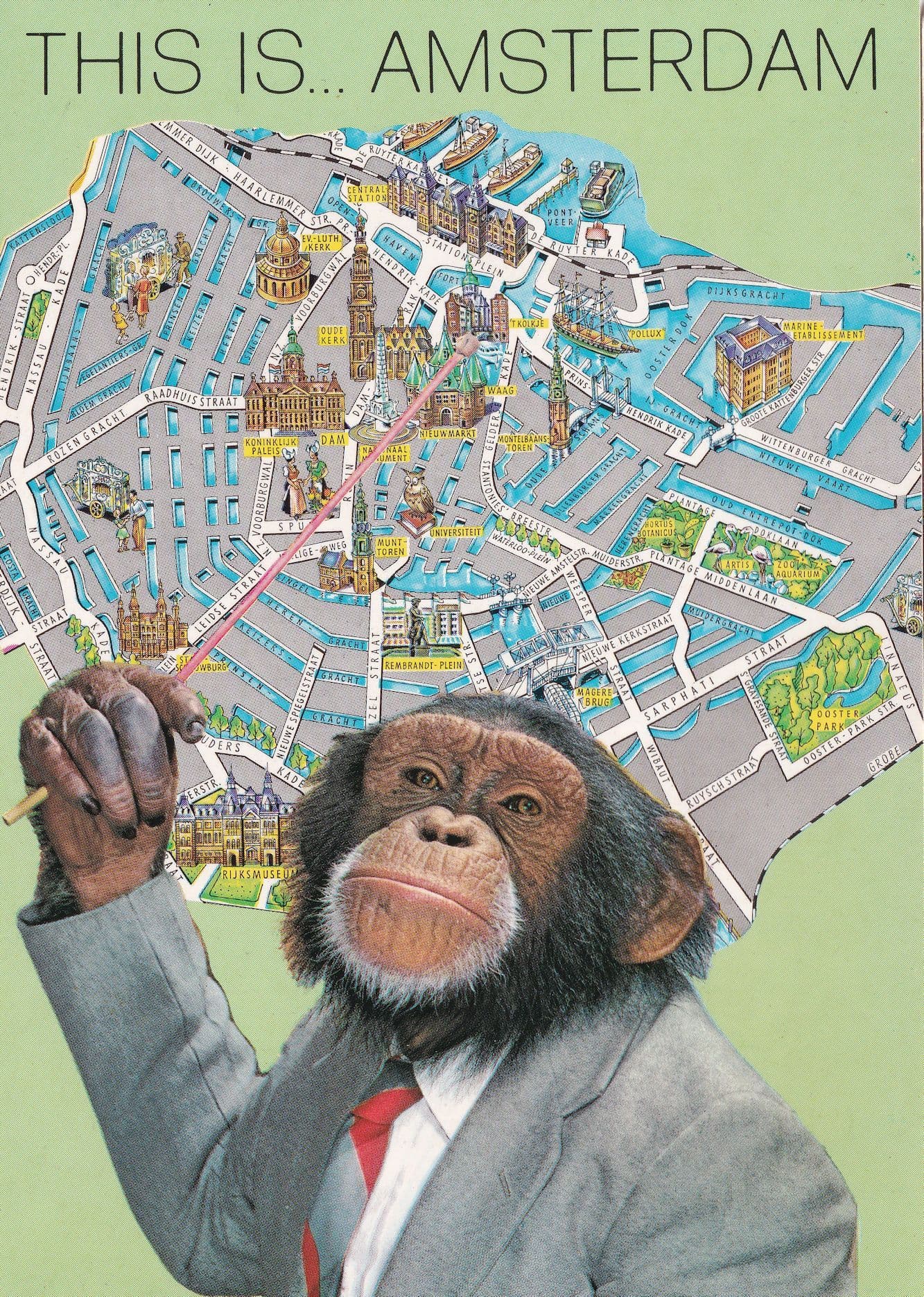 This Is Amsterdam Monkey Chimpanzee Map Rare Postcard