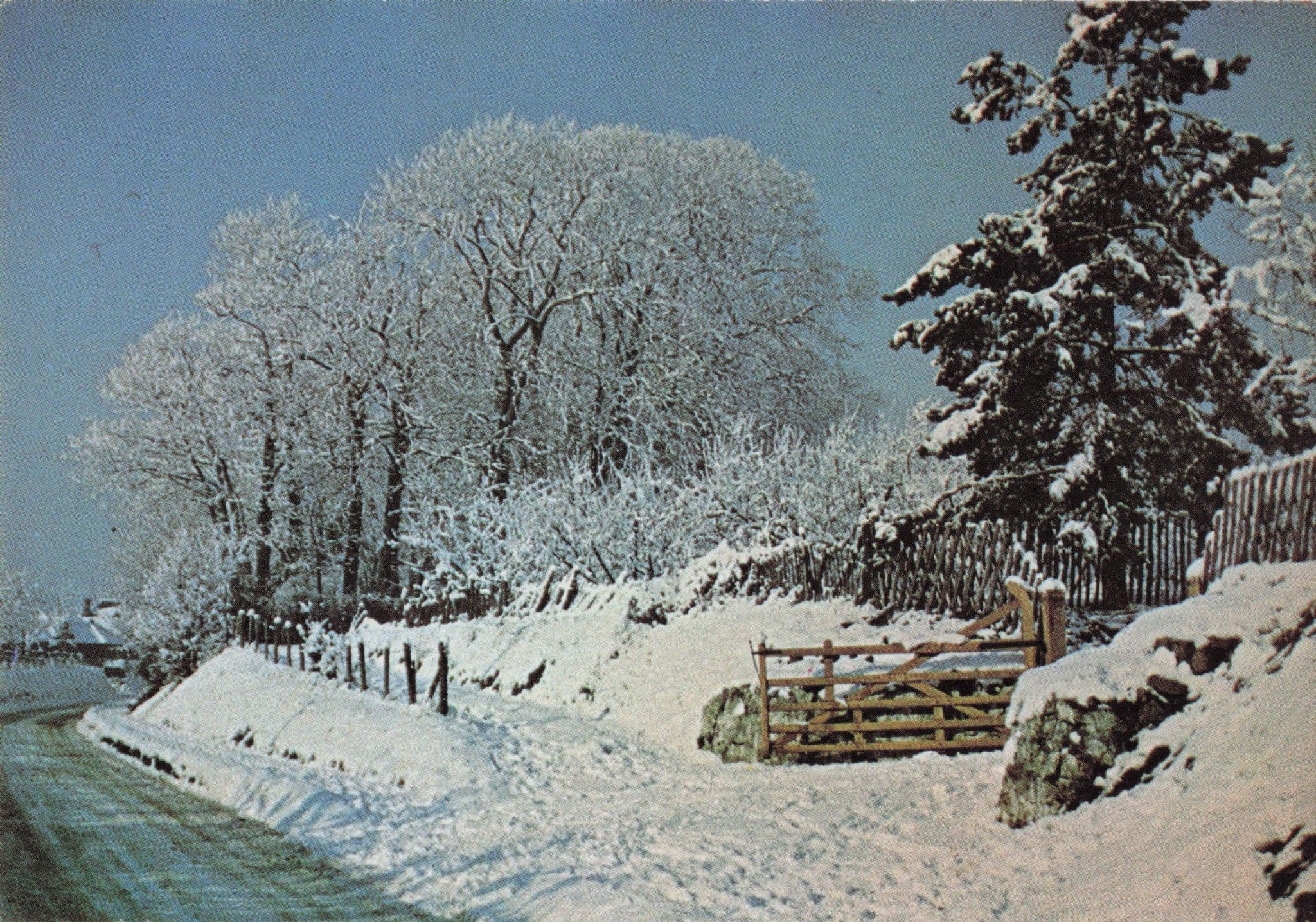 Weavering Kent In Snow Christmas Disaster Camera Club 1980s Postcard