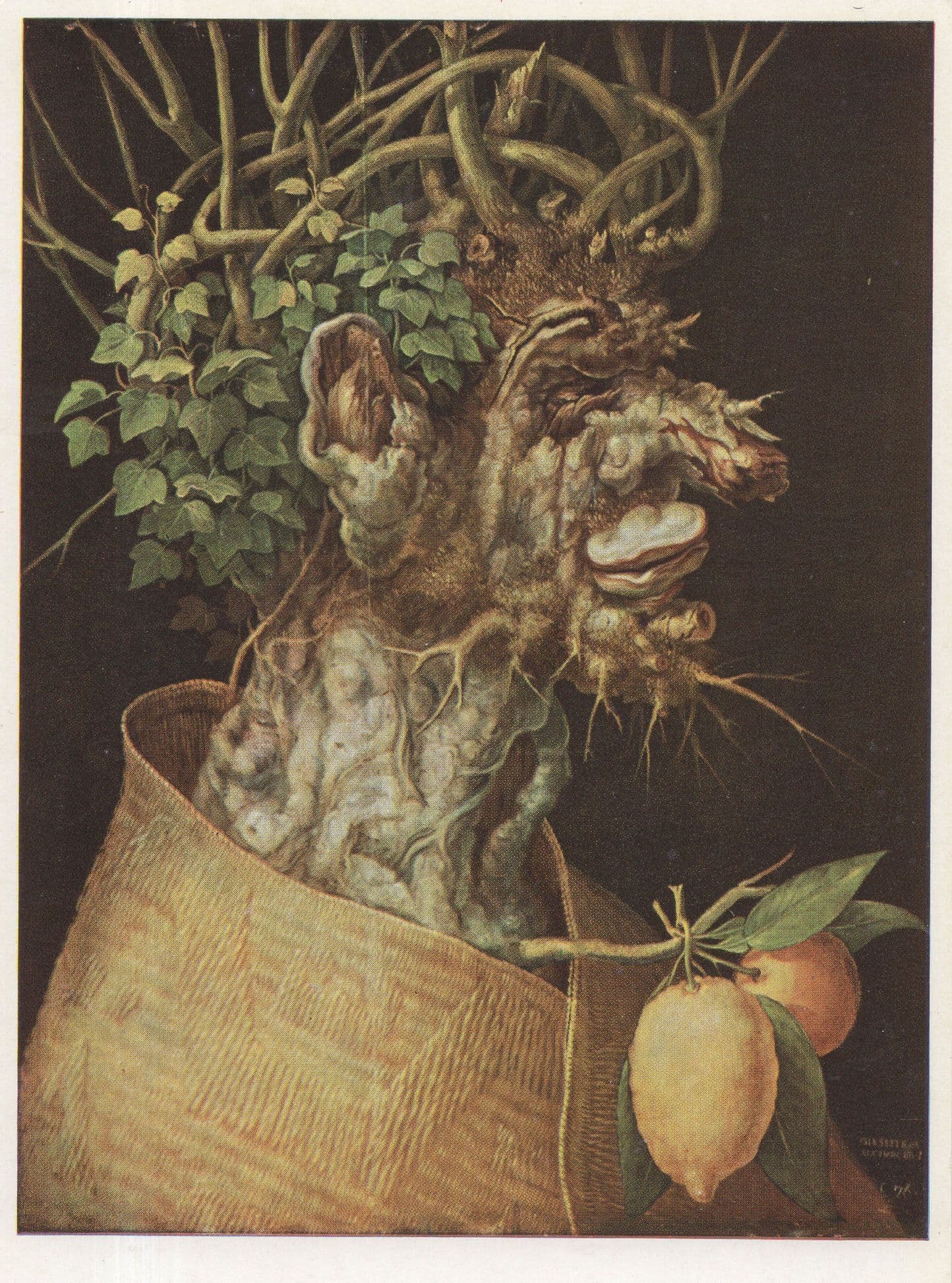 Flowerpot Monster Guiseppe Arcimboldo Der Winter Painting Postcard