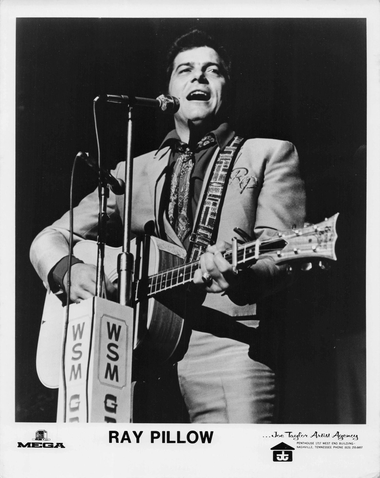 Ray Pillow Country Music Singer Guitarist 10x8 Mega Records Rare Media Old Photo