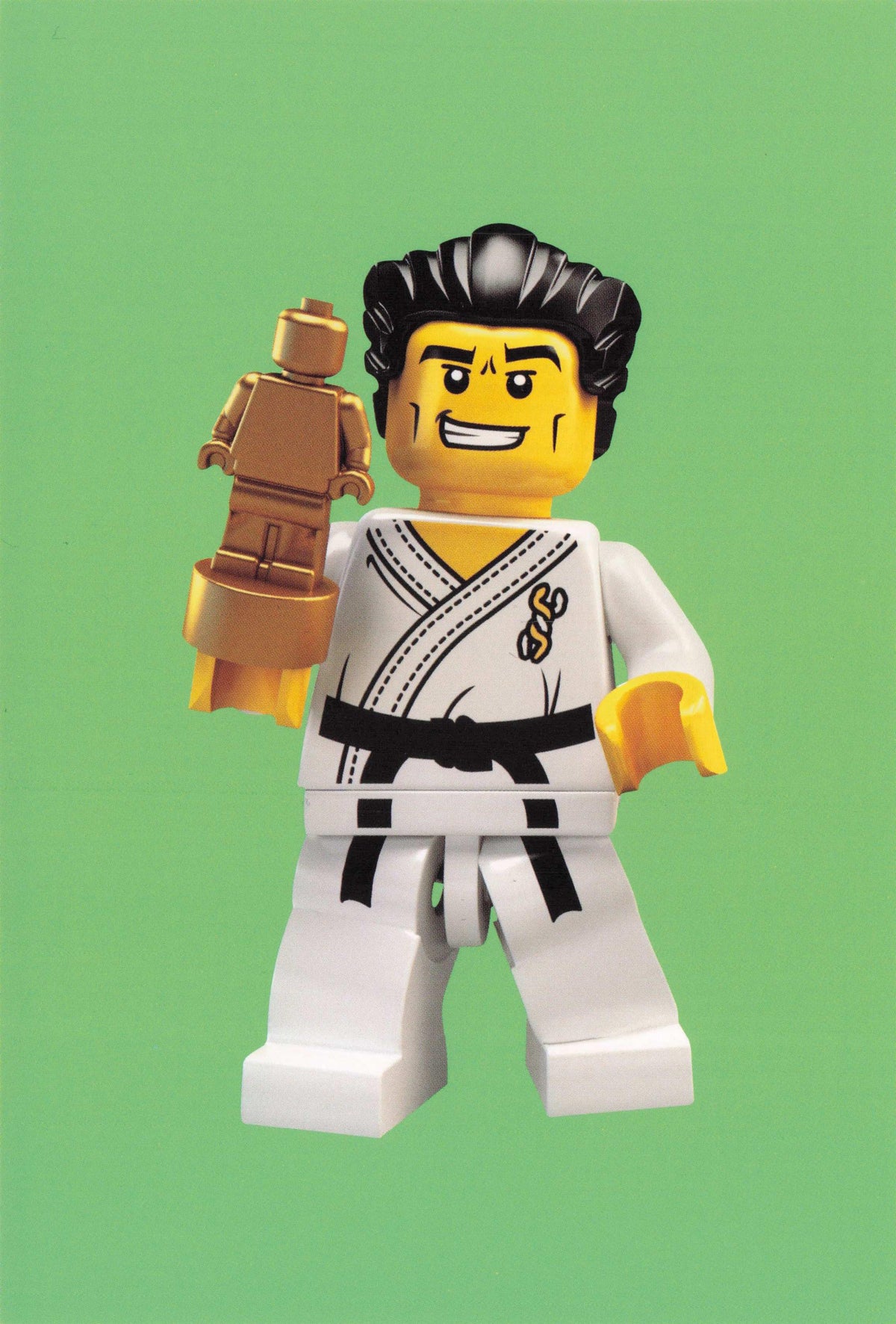 Karate Master Judo Martial Arts Fighter Toy Lego Figure Quotation Postcard