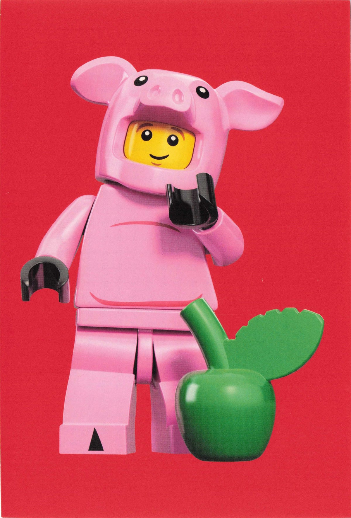 Toy Piggy Fancy Dress Pig Farm Suit Lego Man Watering Can Quotation Postcard