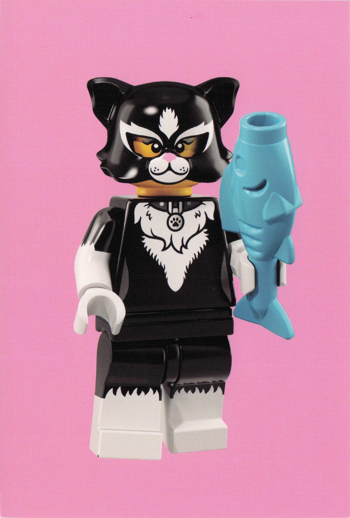 Cat Suit Fancy Dress Fishing Toy Cats Model Lego Figure Quotation Postcard