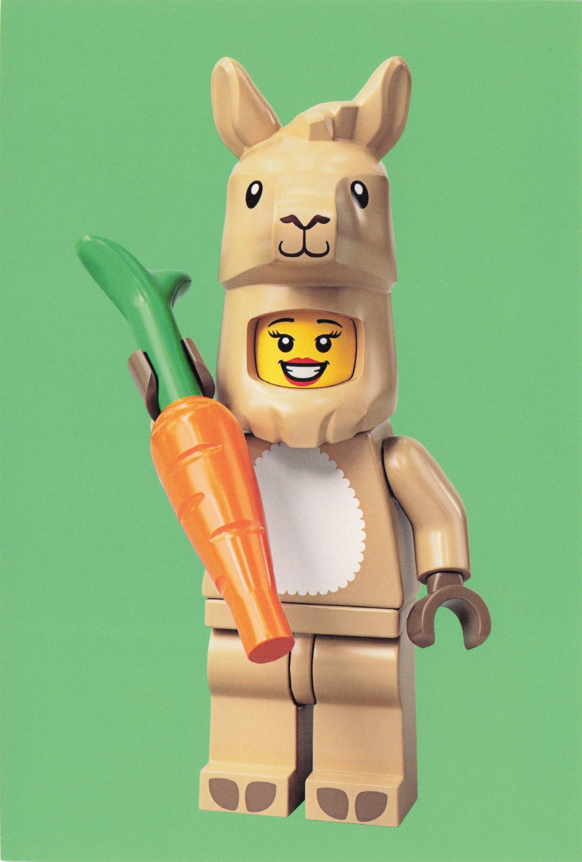 Man In Llama Suit Lego Fancy Dress Model Carrot Toy Costume Quotation Postcard
