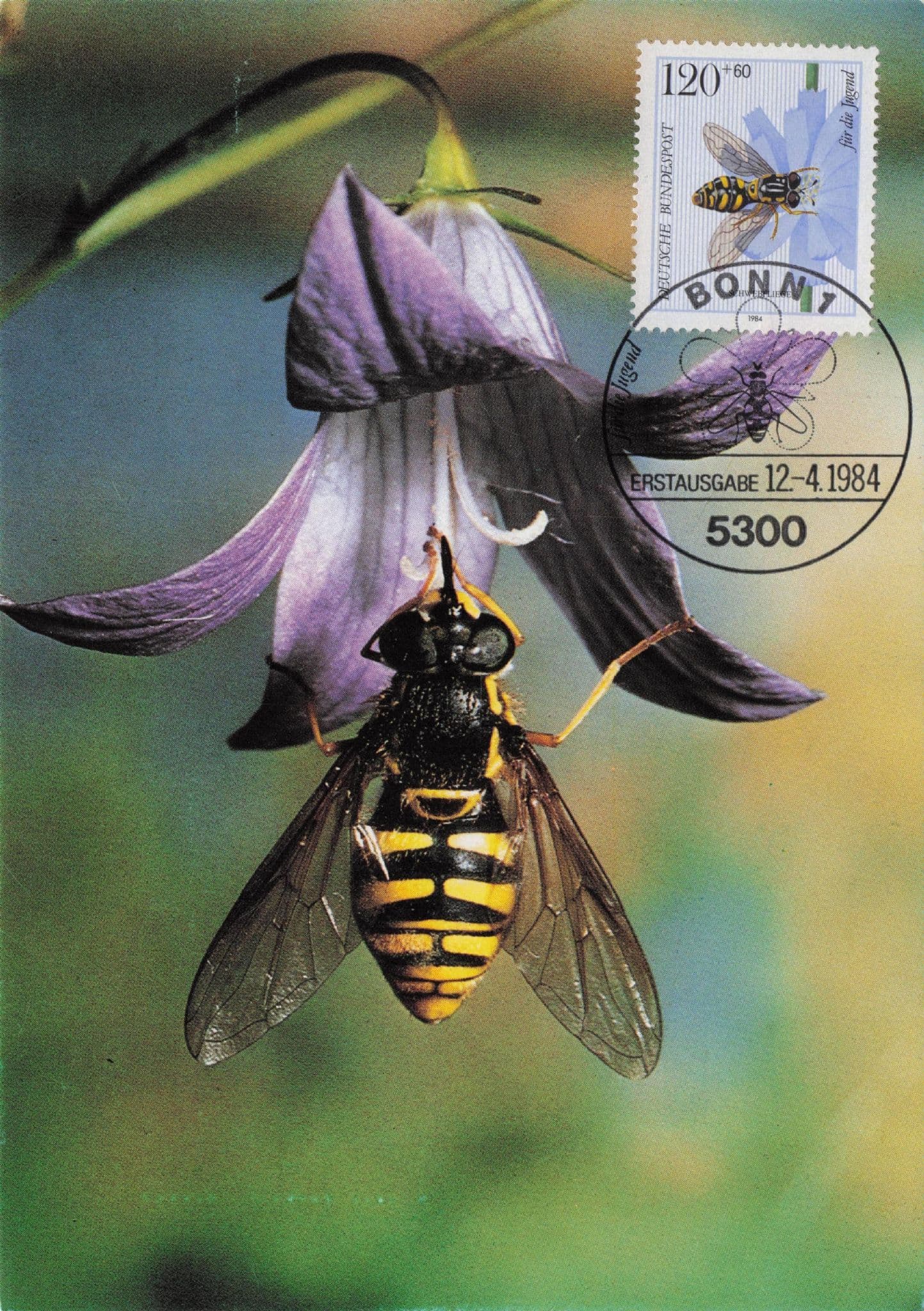 German Flower Fly Hoverfly Rare Bonn Insect First Day Cover Postcard