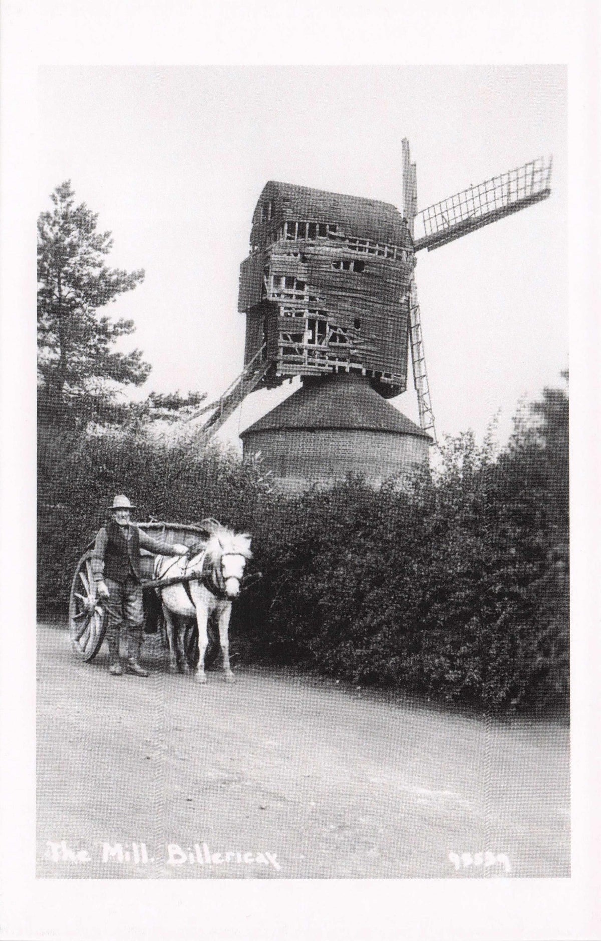 Old Farmer Horse & Cart At Billericay Essex Windmill Award Photo Postcard
