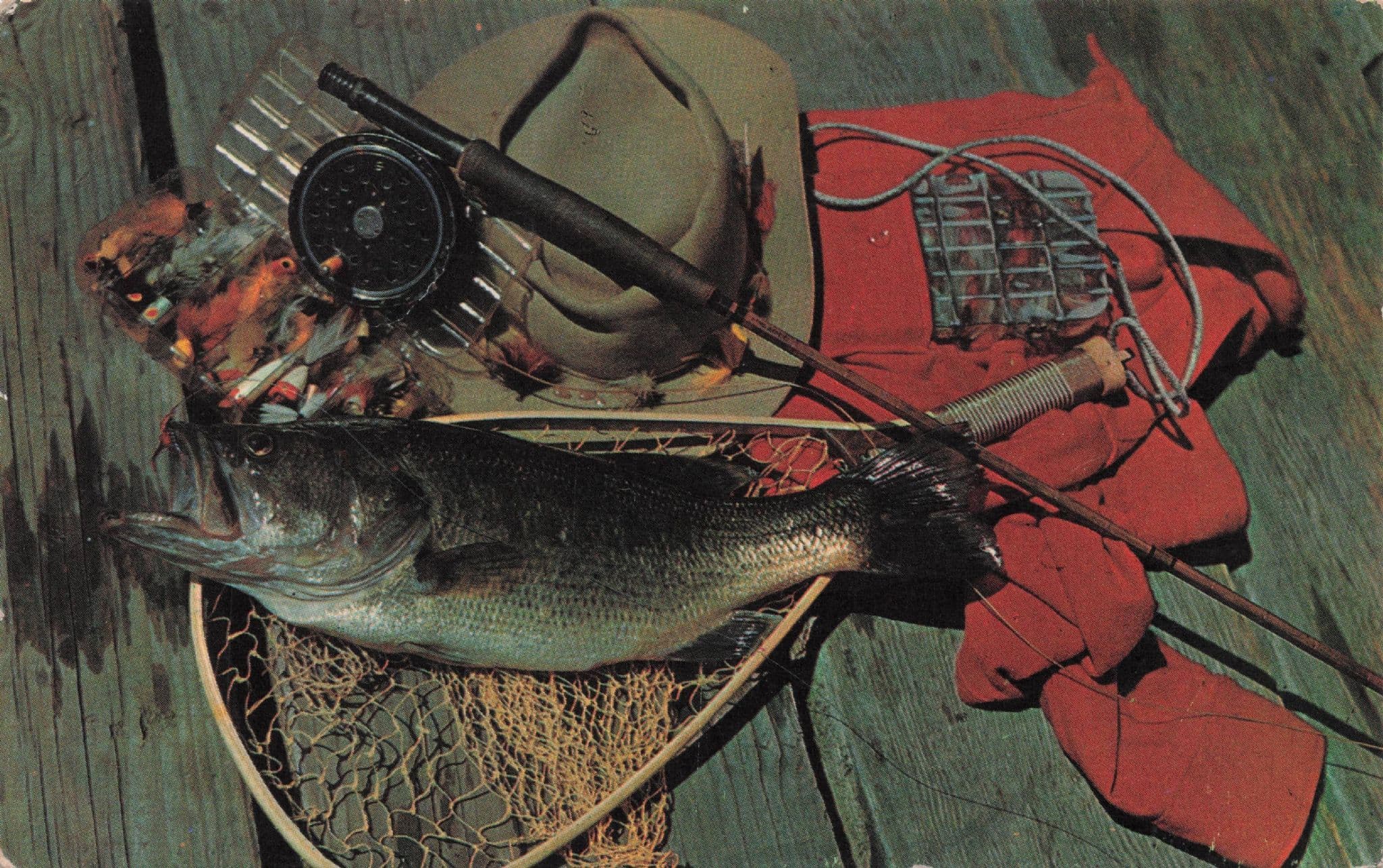 Giant Fish Caught At Manitoba Swan River 1970s USA Postcard