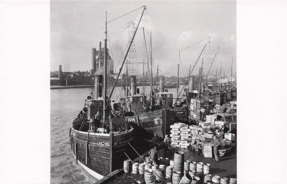 Great Yarmouth Norfolk Landing Fishing Boats Catch Rare Award Photo Postcard