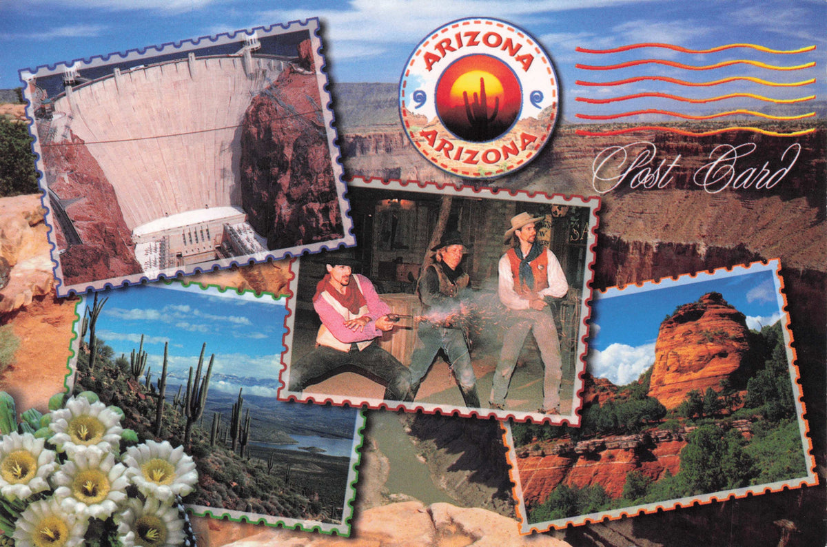 Arizona Wild West Cowboys Shooting Range Cactus USA America Photo Postcard