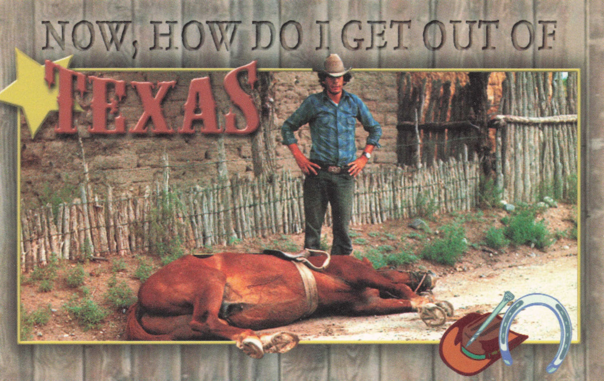 Texas Cowboy Rodeo Horse Sleeping Wild West Comic American Photo Postcard