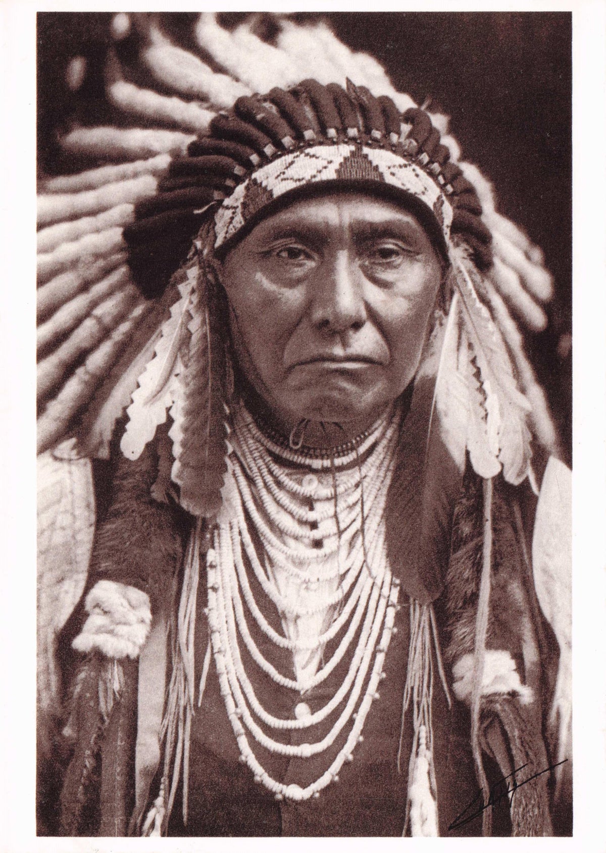 Naz Perce Old Native Indian American 1800s Military Leader Photo Postcard