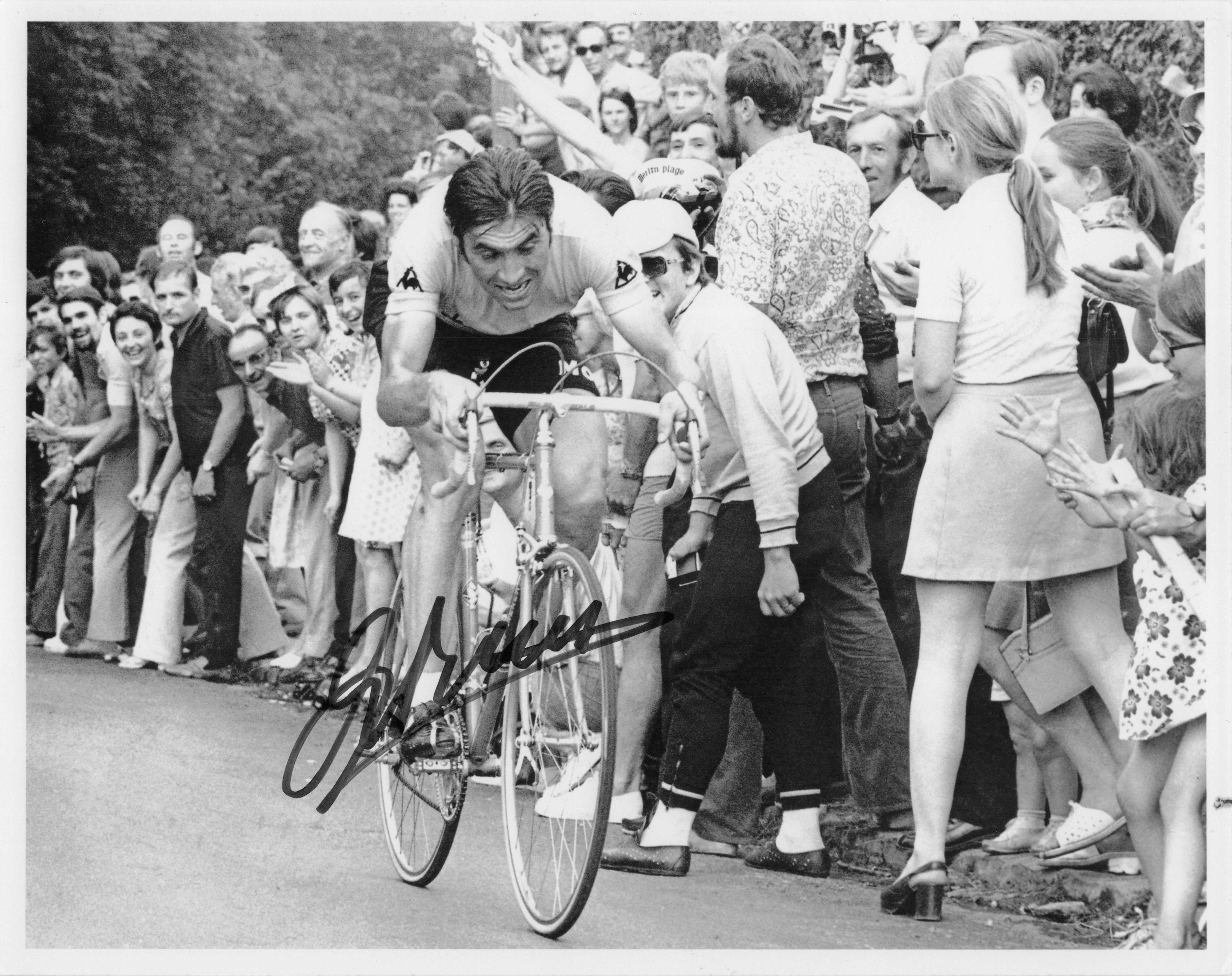 Eddie Merckx Belgium Cyclist 1972 Tour De France 10x8 Hand Signed Photo