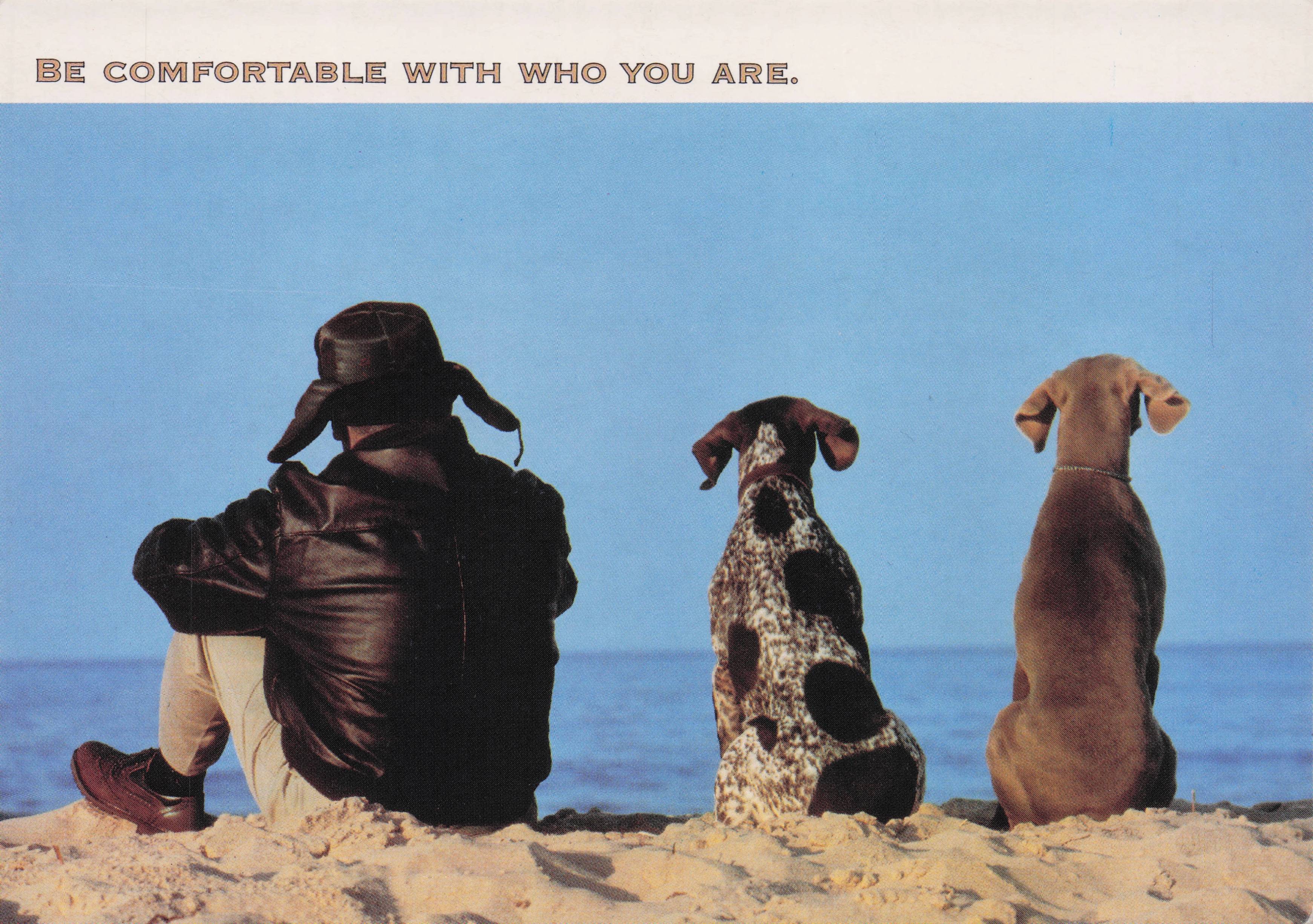 Hush Puppies Cowboy Hat Dogs Beach Shoes Rare Advertising Postcard