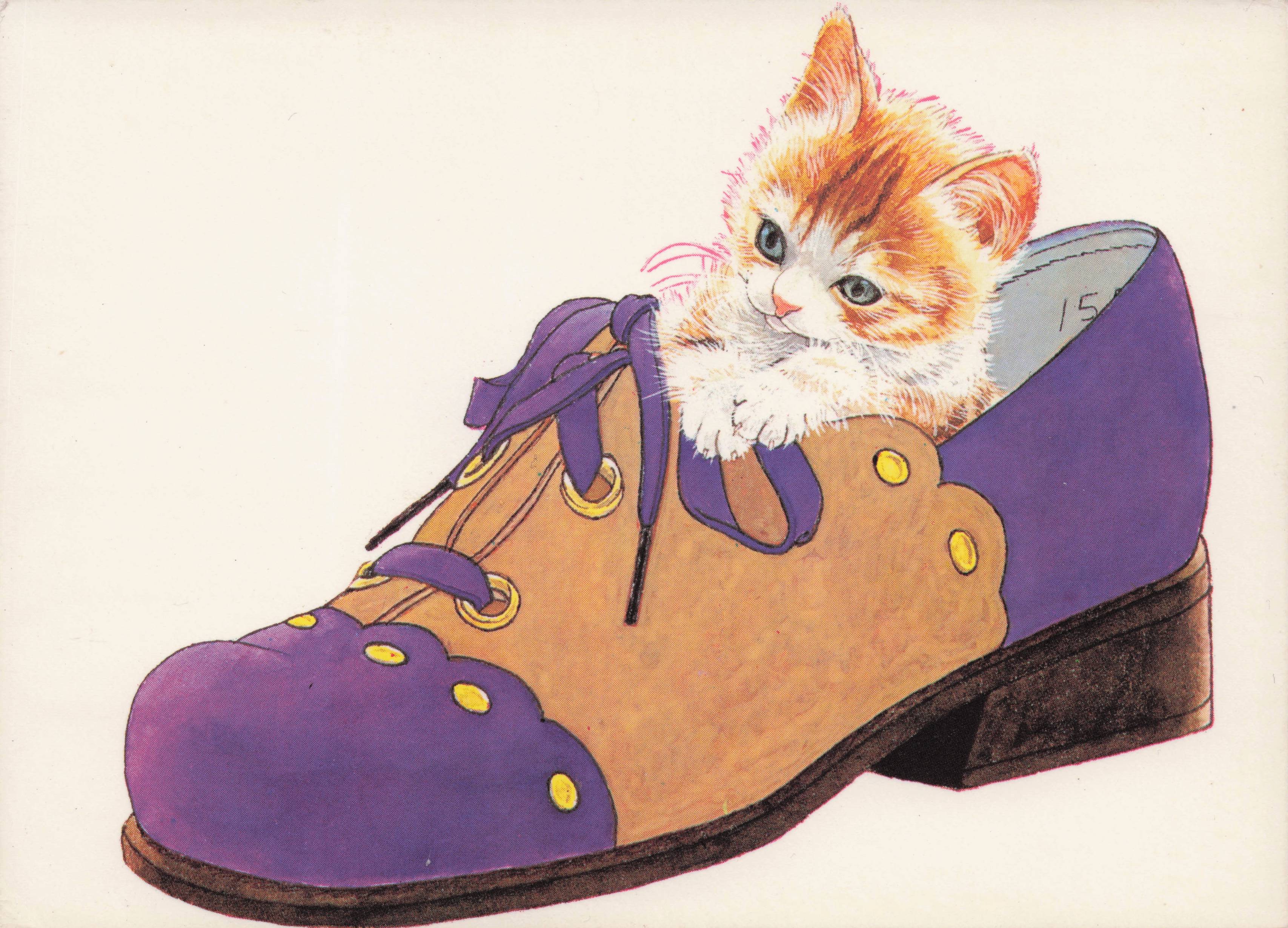 My Boat Japanese Kitten Cat In Shoe Illustrator Art Cute Postcard