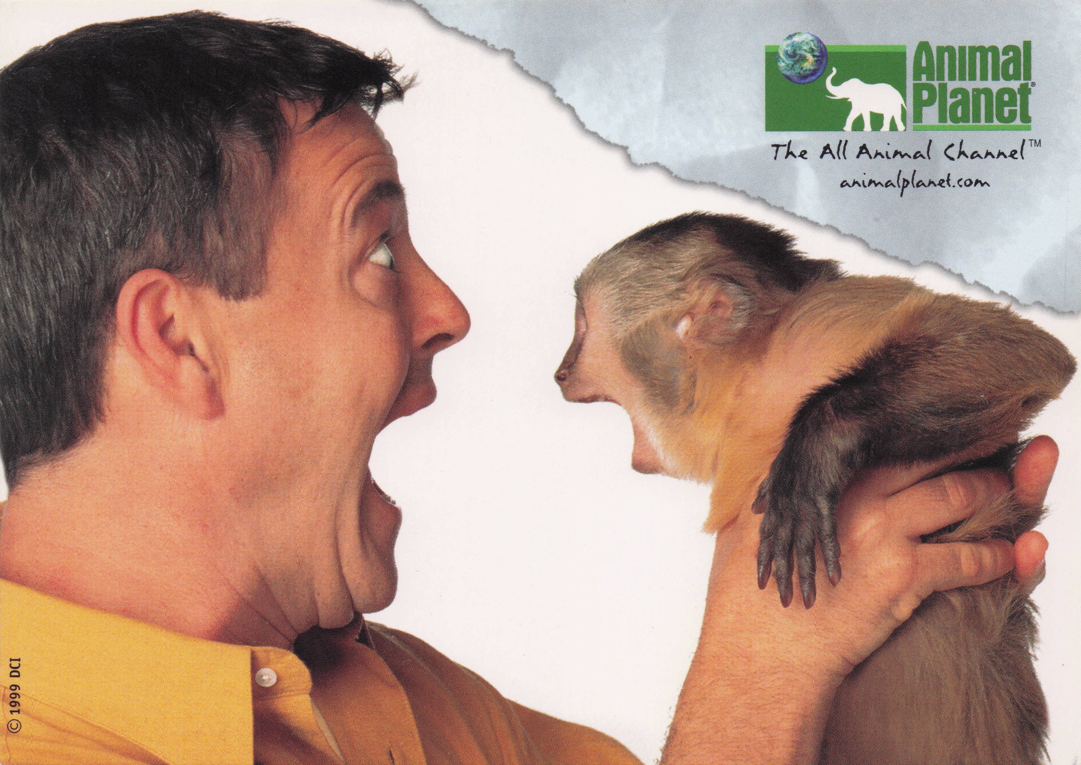 Animal Planet TV Show Darwin Man vs Monkey Comic Advertising Postcard