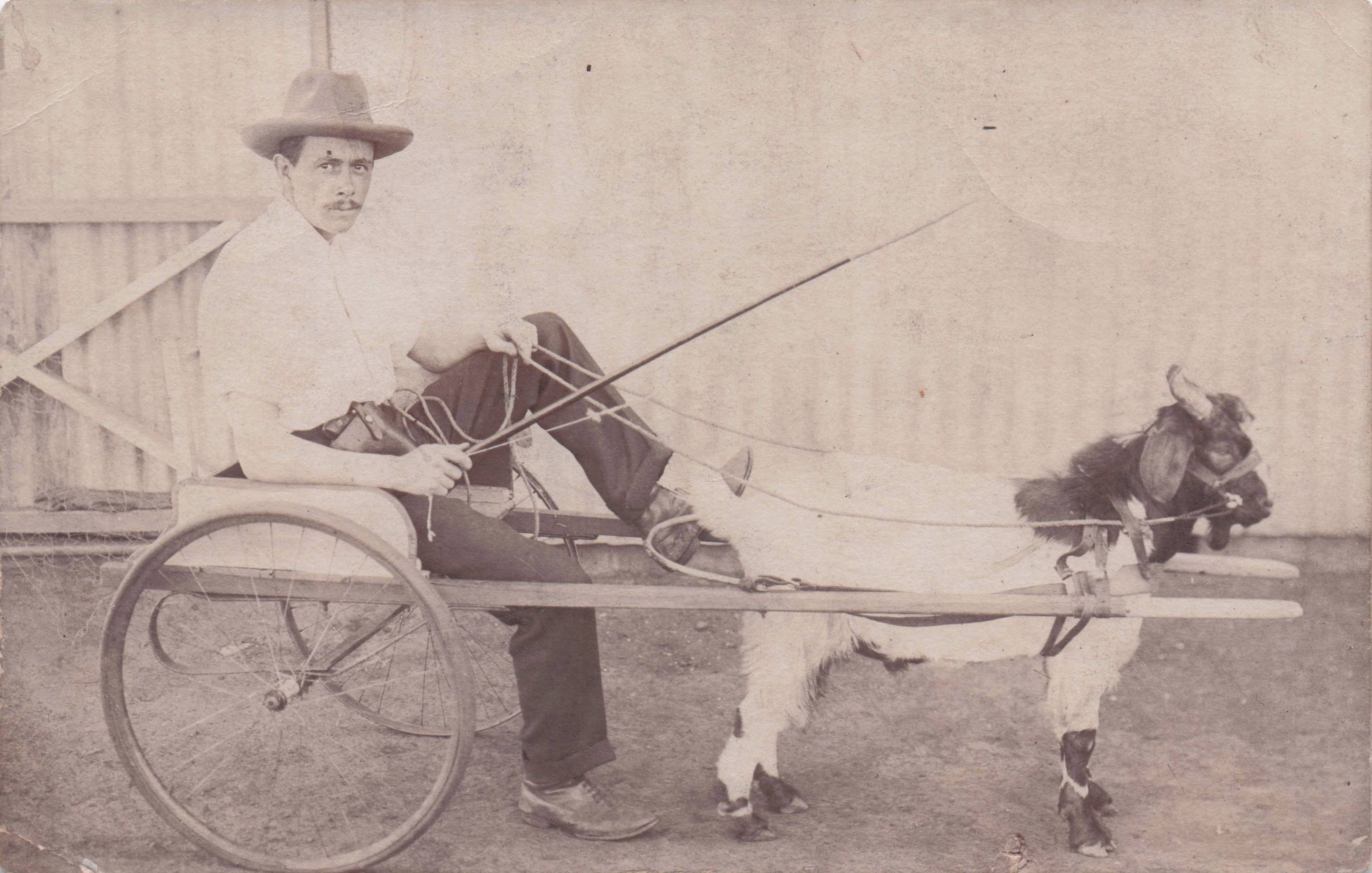 Asian Man In Antique Donkey Lamb Transport Whip Old Postcard