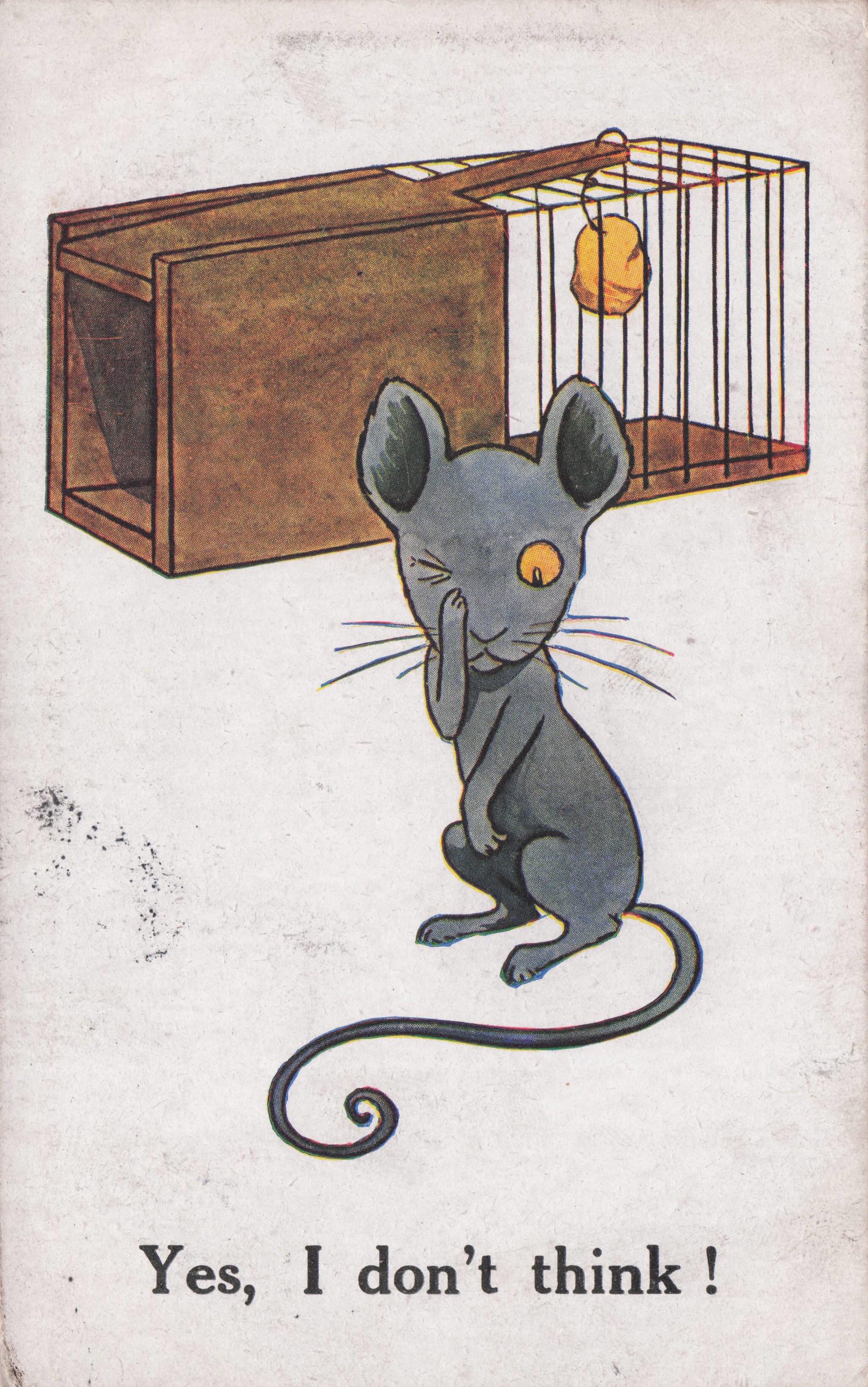 Mouse Avoids Trap Yes I Don't Think WW1 Comic Animal Postcard