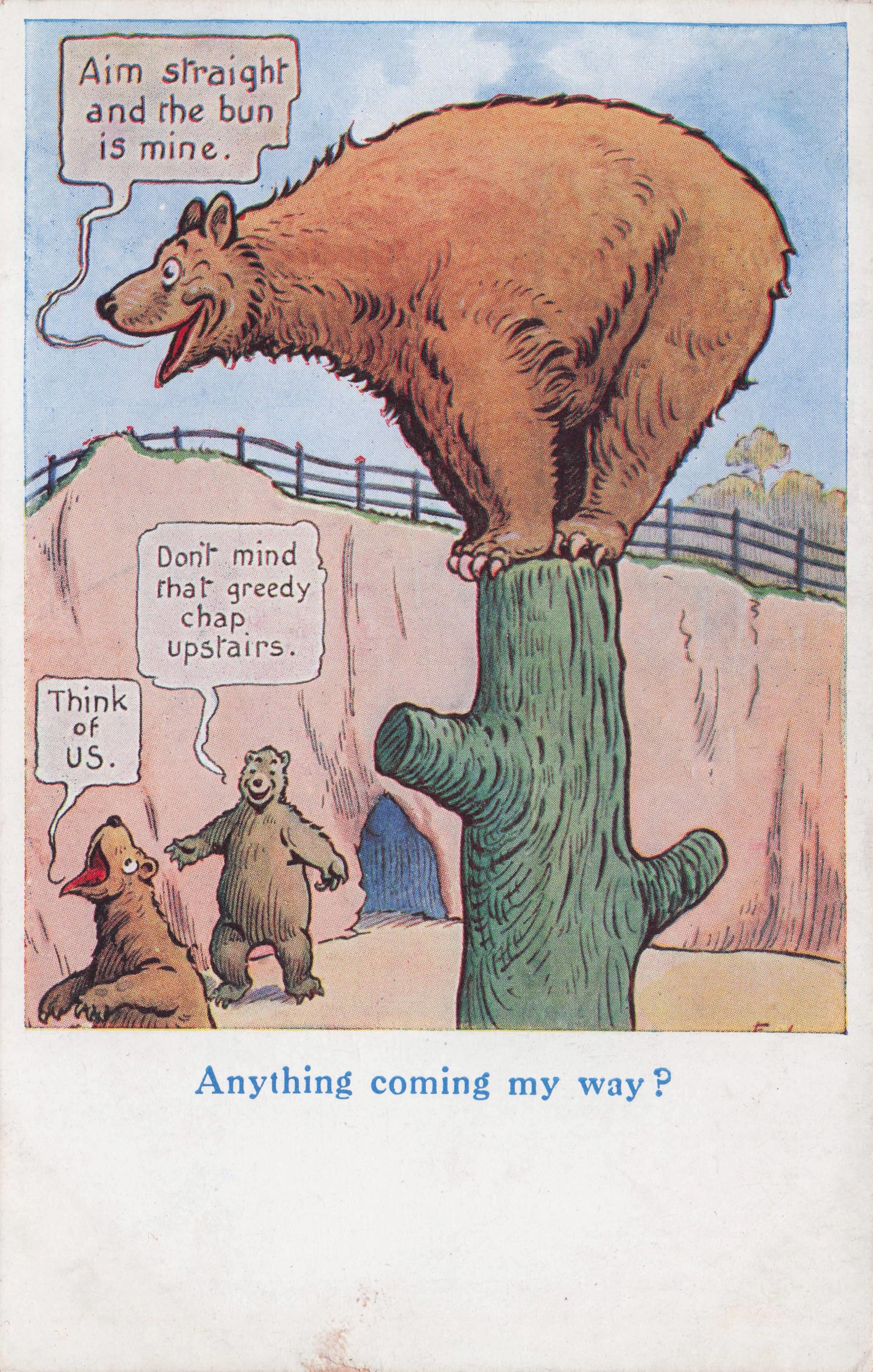 Hungry Zoo Bear Aim At My Mouth Old Comic Animal Postcard