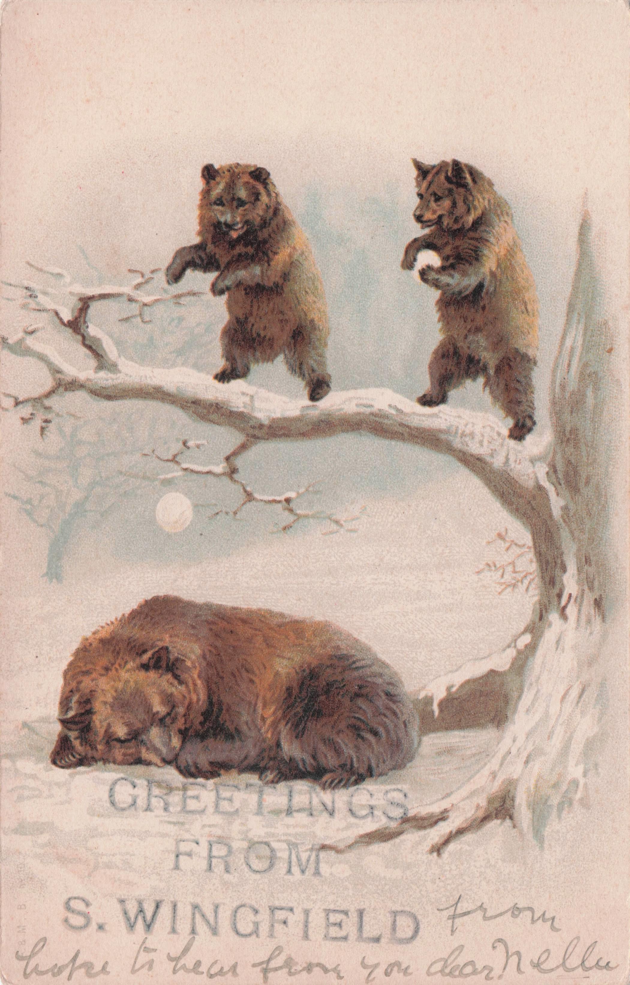 South Wingfield Dancing Snow Bears Old Derby Animal Potcard