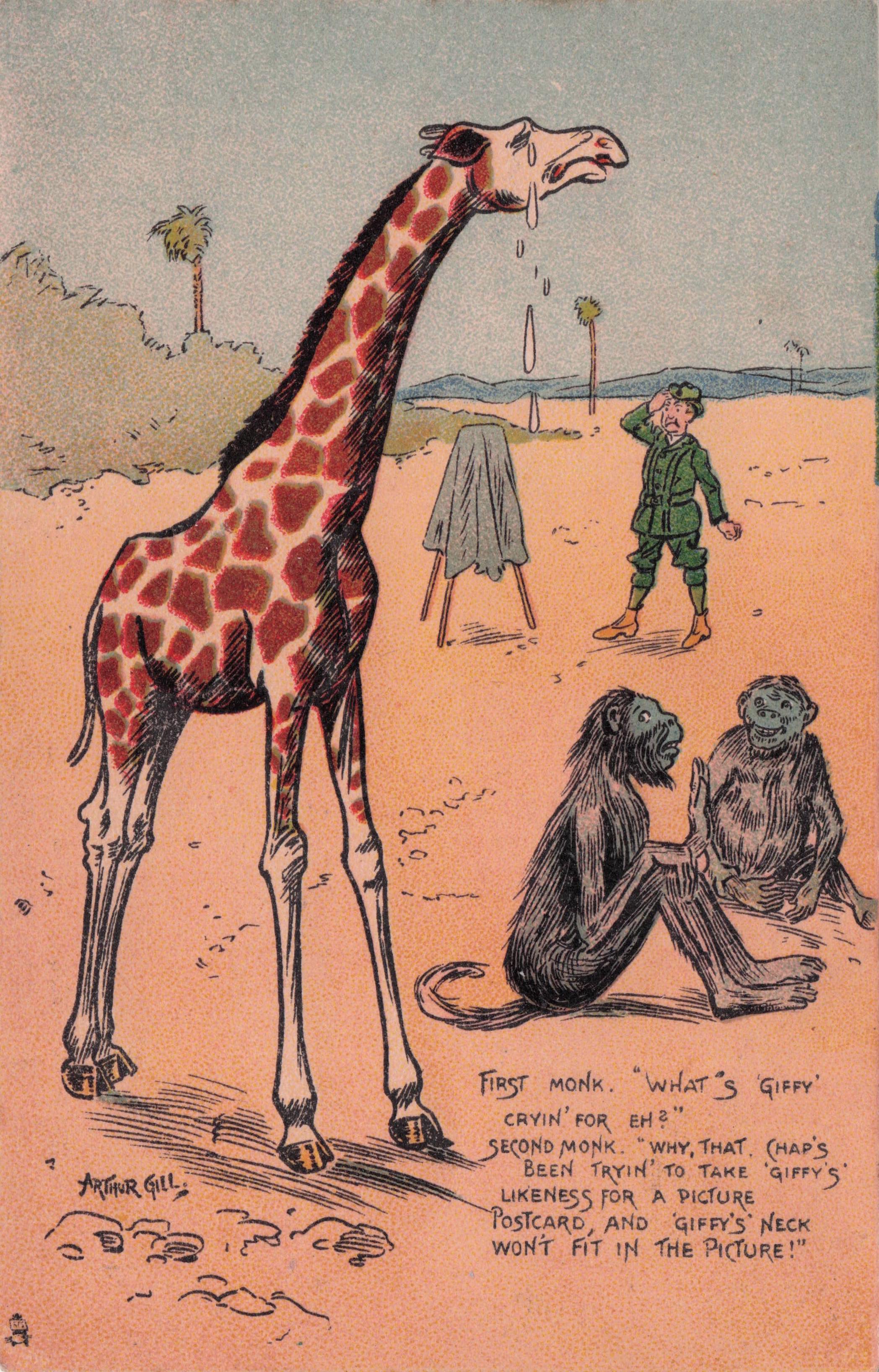 Monkeys Camera Dark Room Cloth For Giraffe Photo Tucks Comic Postcard