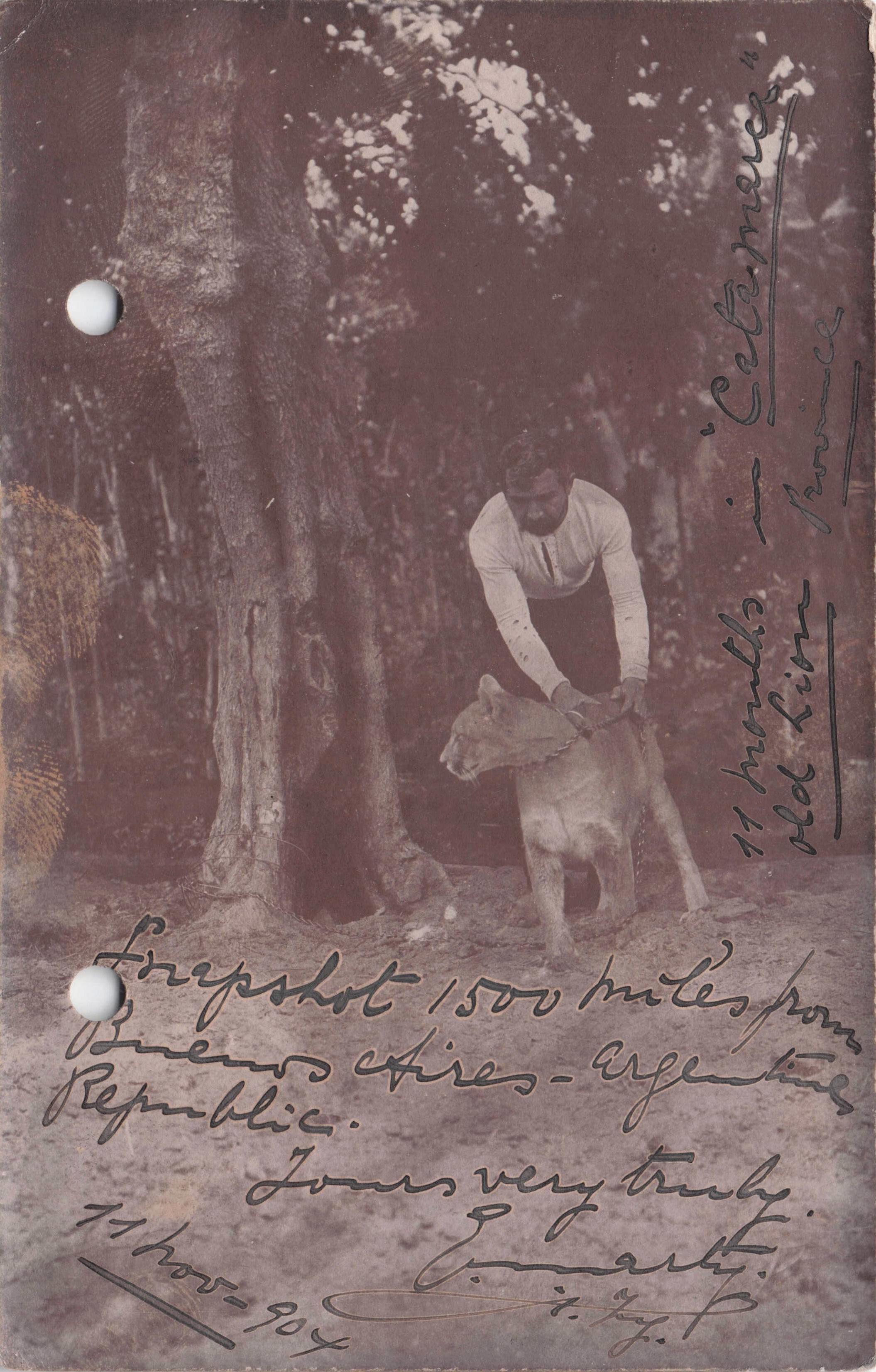 Buenos Aires Argentina Lion Handler Animal Tamer Old 1904 Postcard
