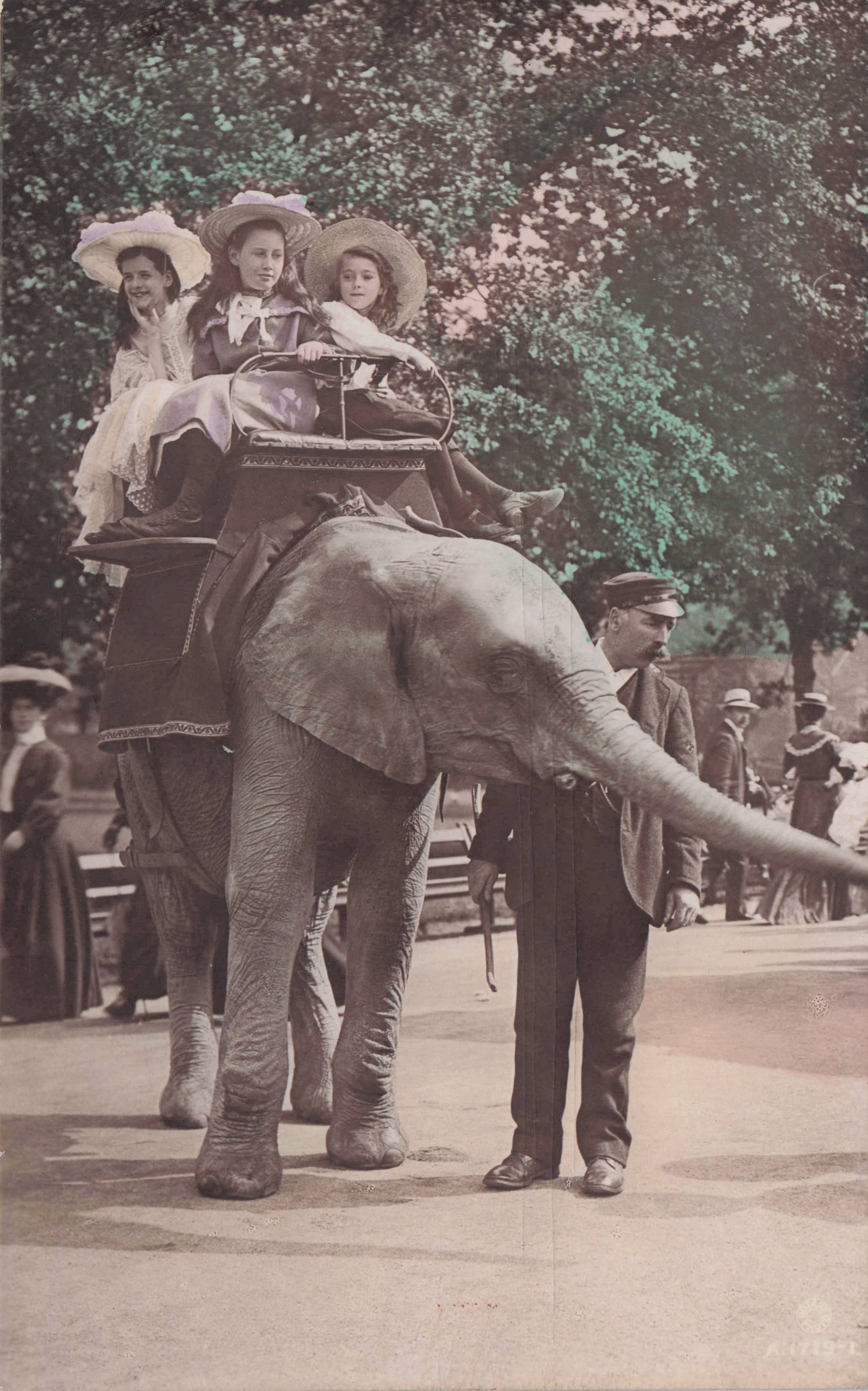London Zoo Elephant Rides RARE Antique Hand Painted RPC Postcard