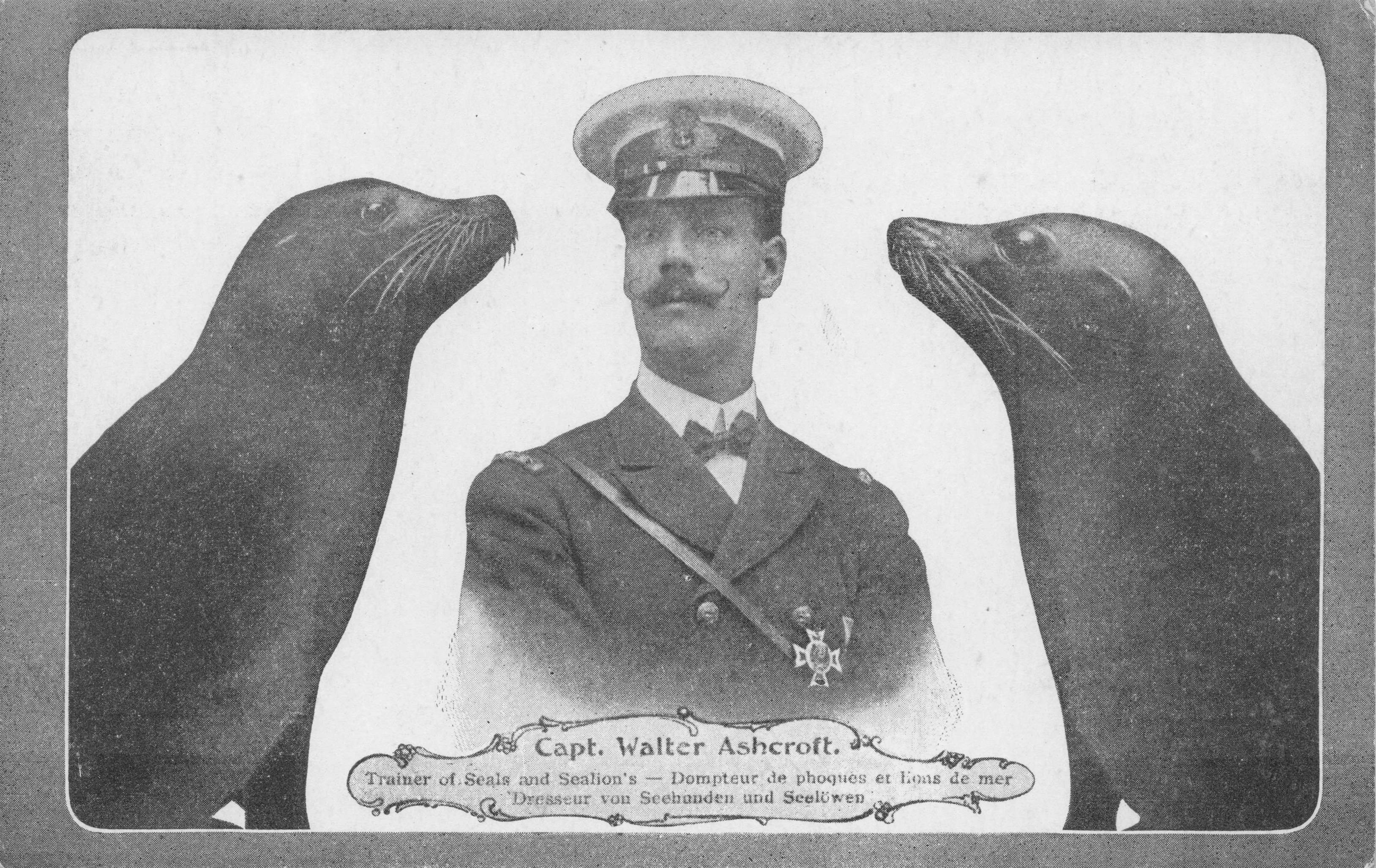 Captain Walter Ashcroft Military Seal Trainer Sea Lion Life Old Postcard