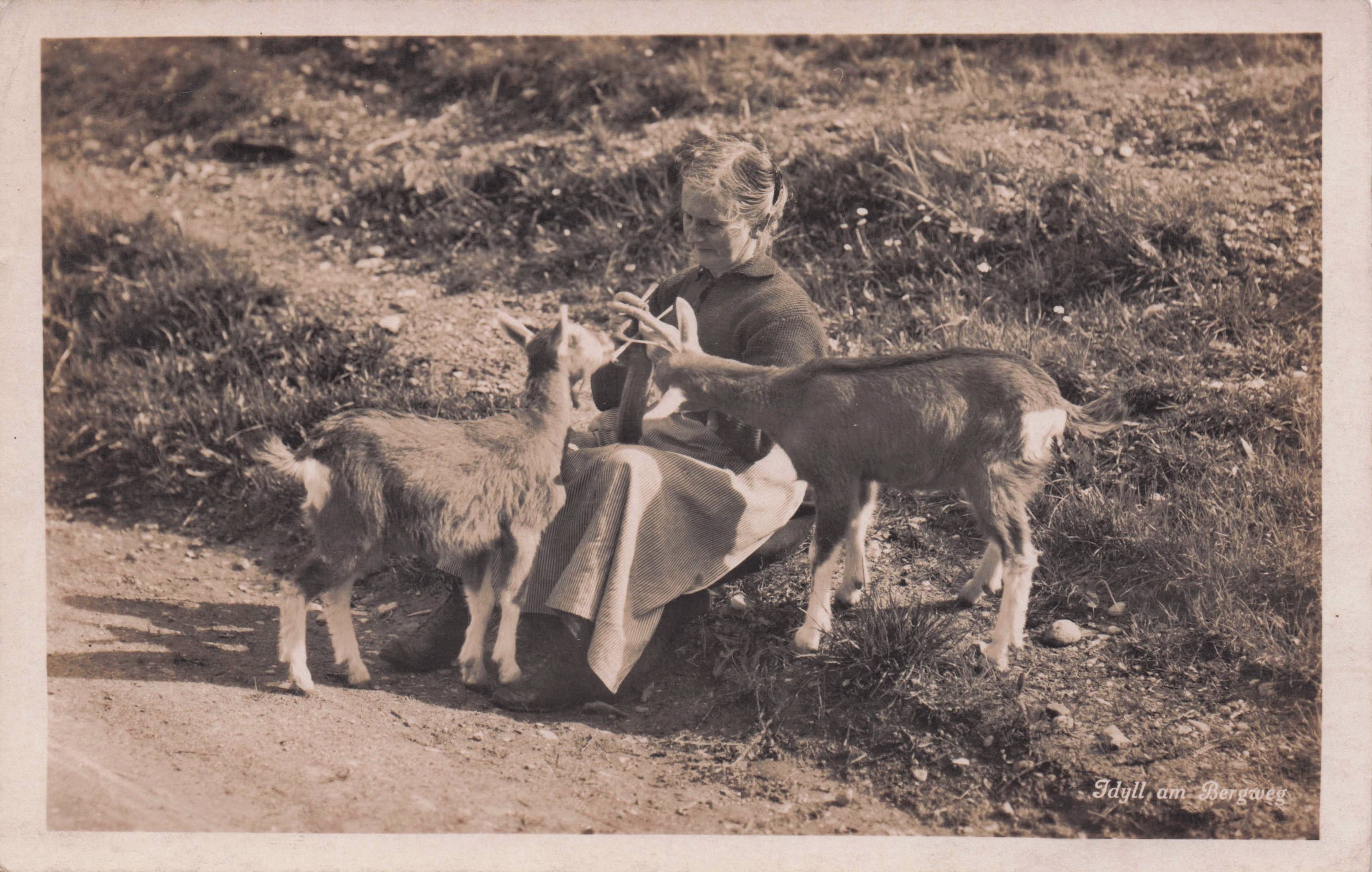 Switzerland Crafts Lady & Baby Goats Antique Swiss Postcard