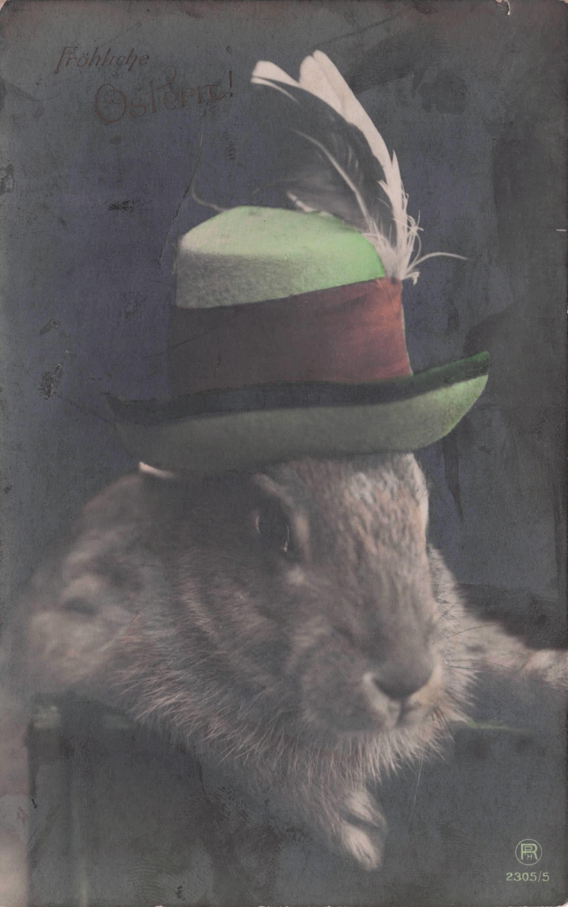 Posh Rabbit Posh Green Hat Nazi Postmark Old German Postcard