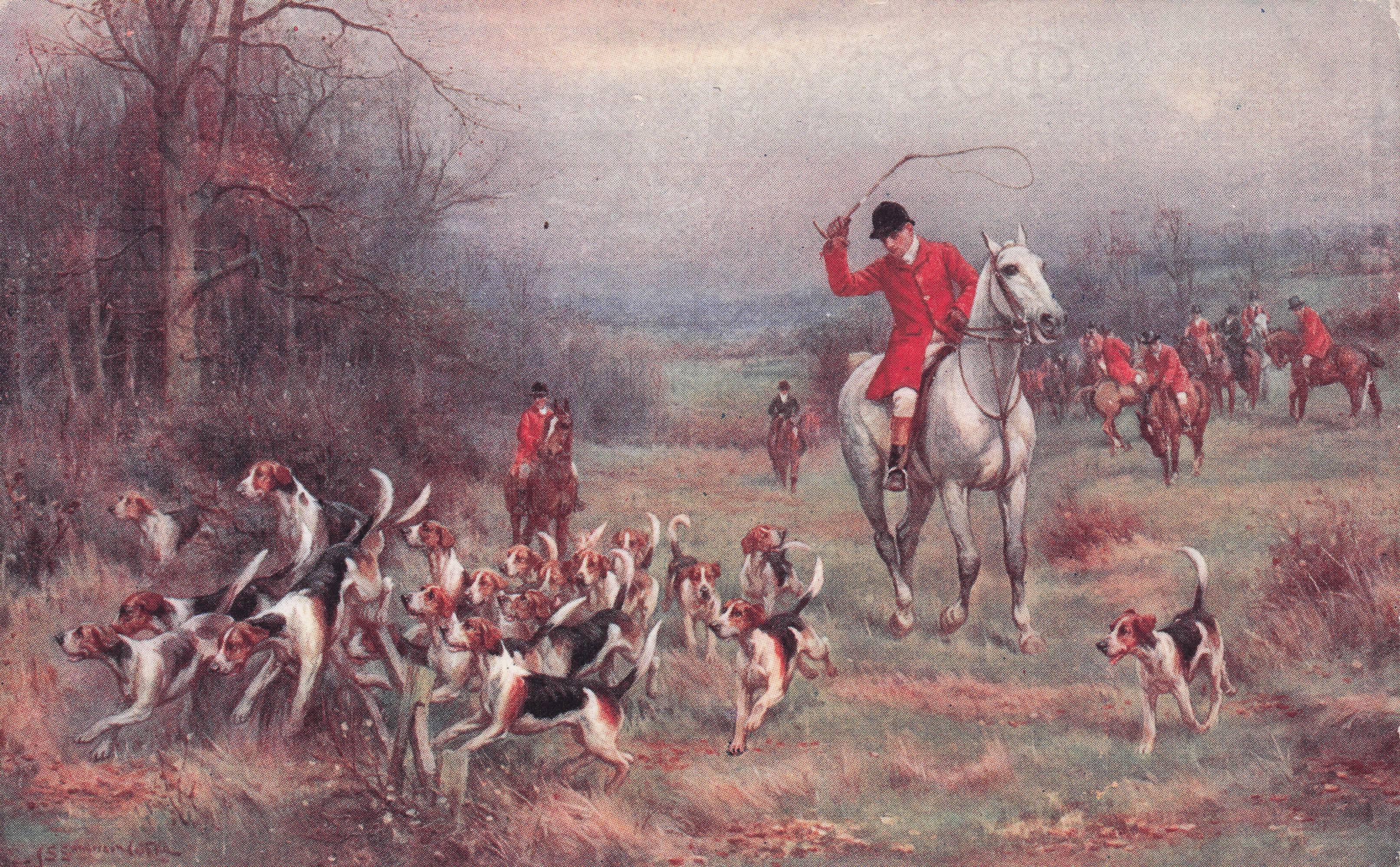 Angry Fox Hunting Rider Horse Whip Faulkner Old Painting Postcard