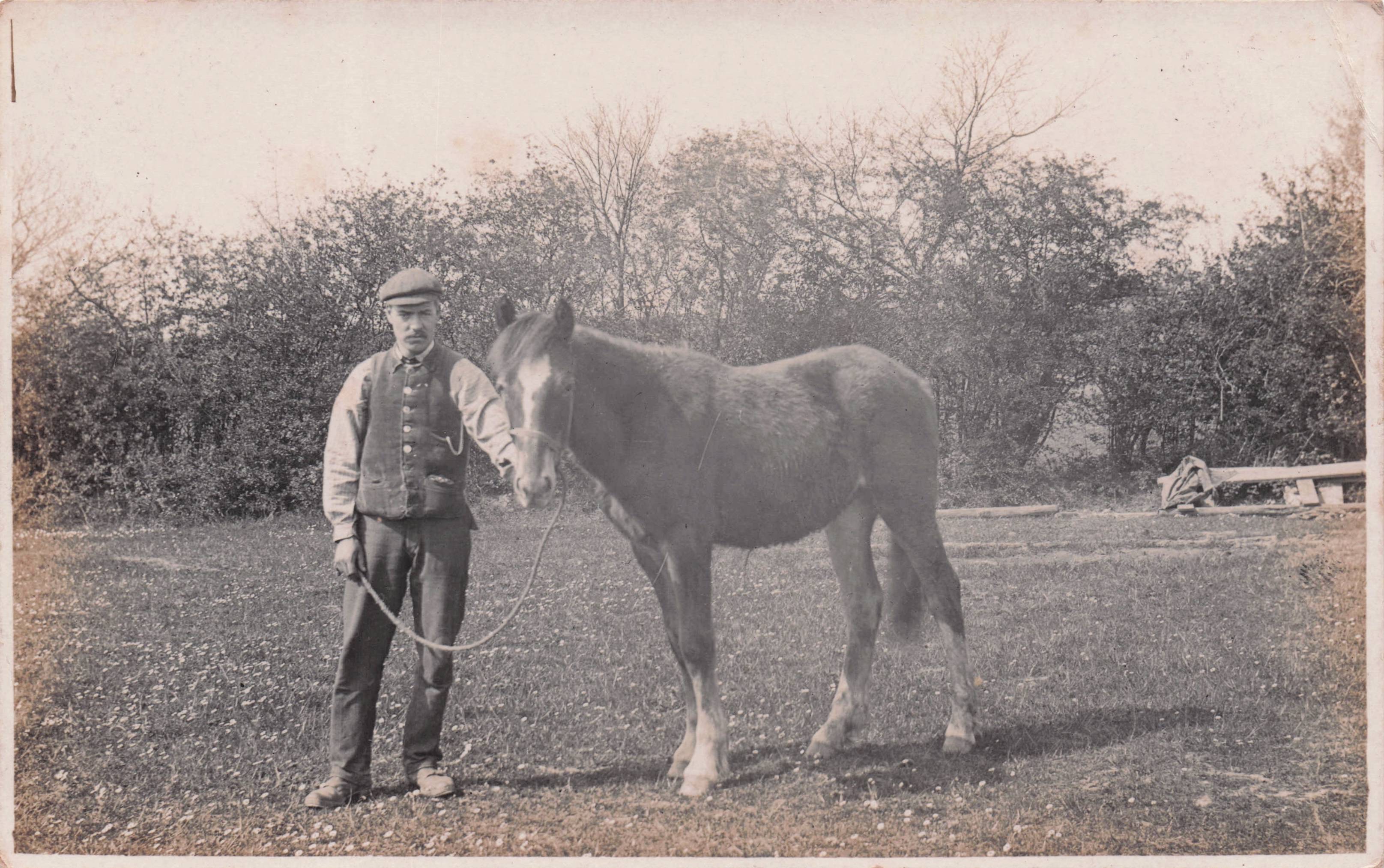 Horse & Racing Owner Stable Master Antique Real Photo Postcard