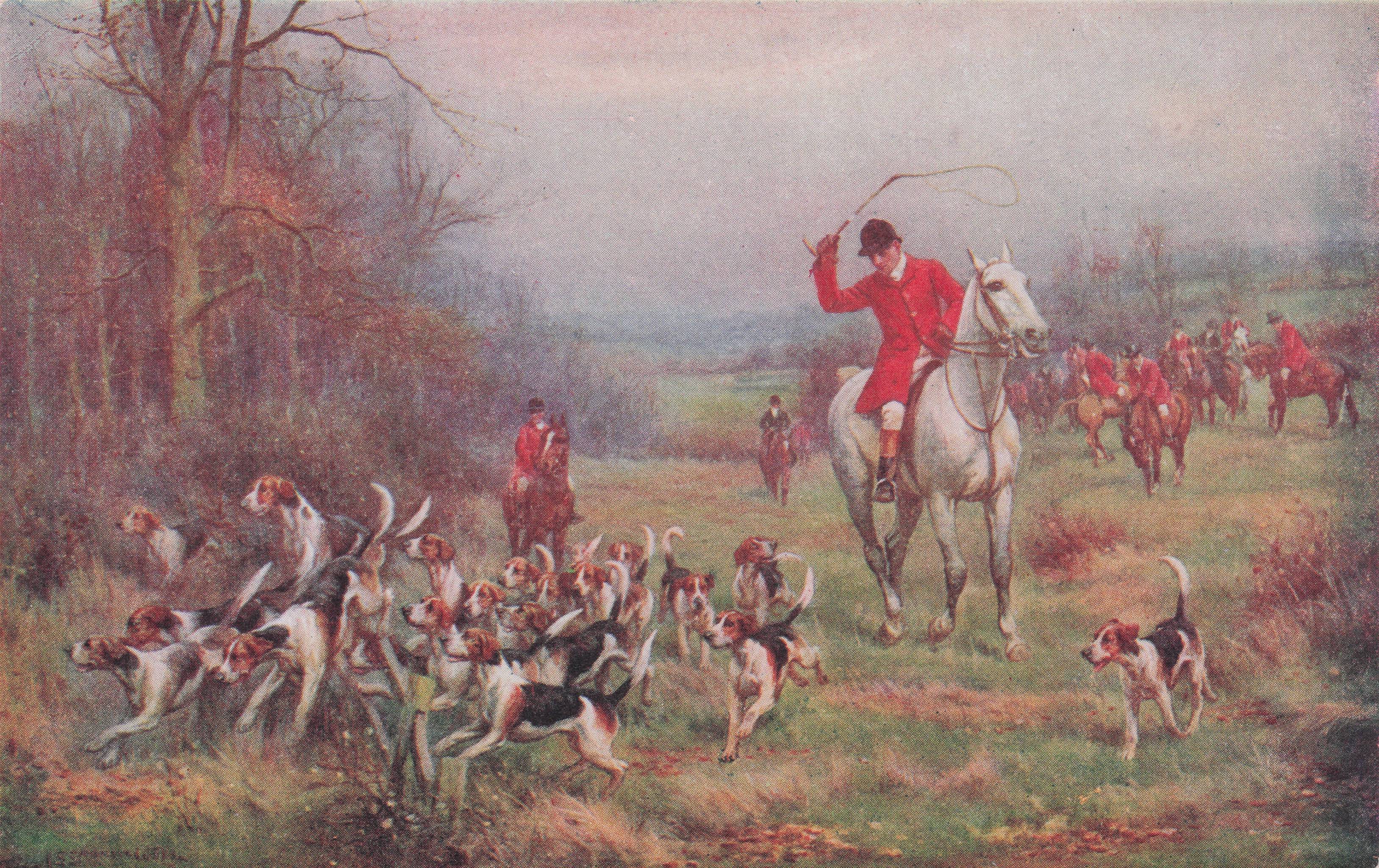 Horse Fox Hunting Rider Cracks Whip Pack Of Dogs Faulkner Postcard