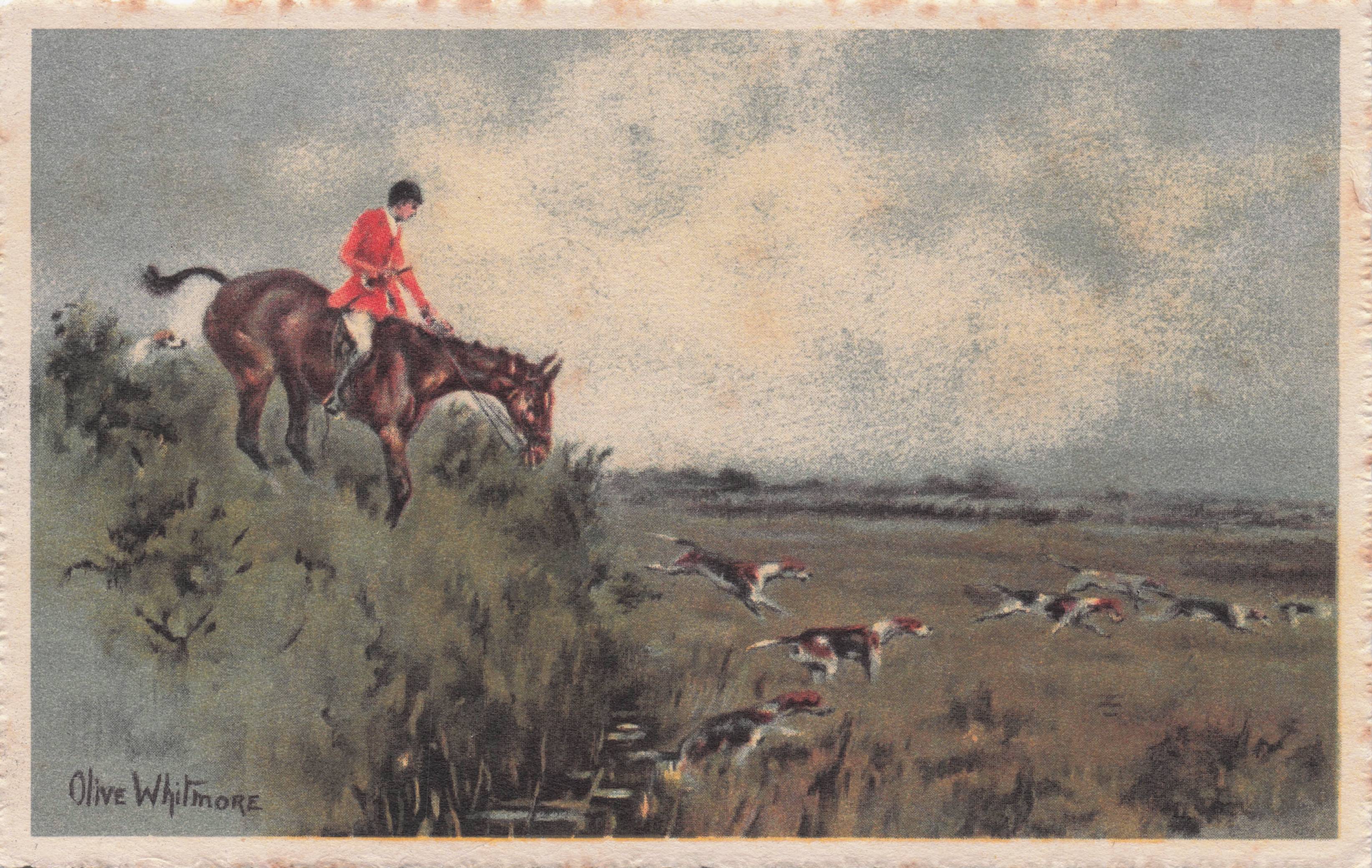 Horse & Rider Fox Hunting Near Disaster Fall Olive Whimore Postcard