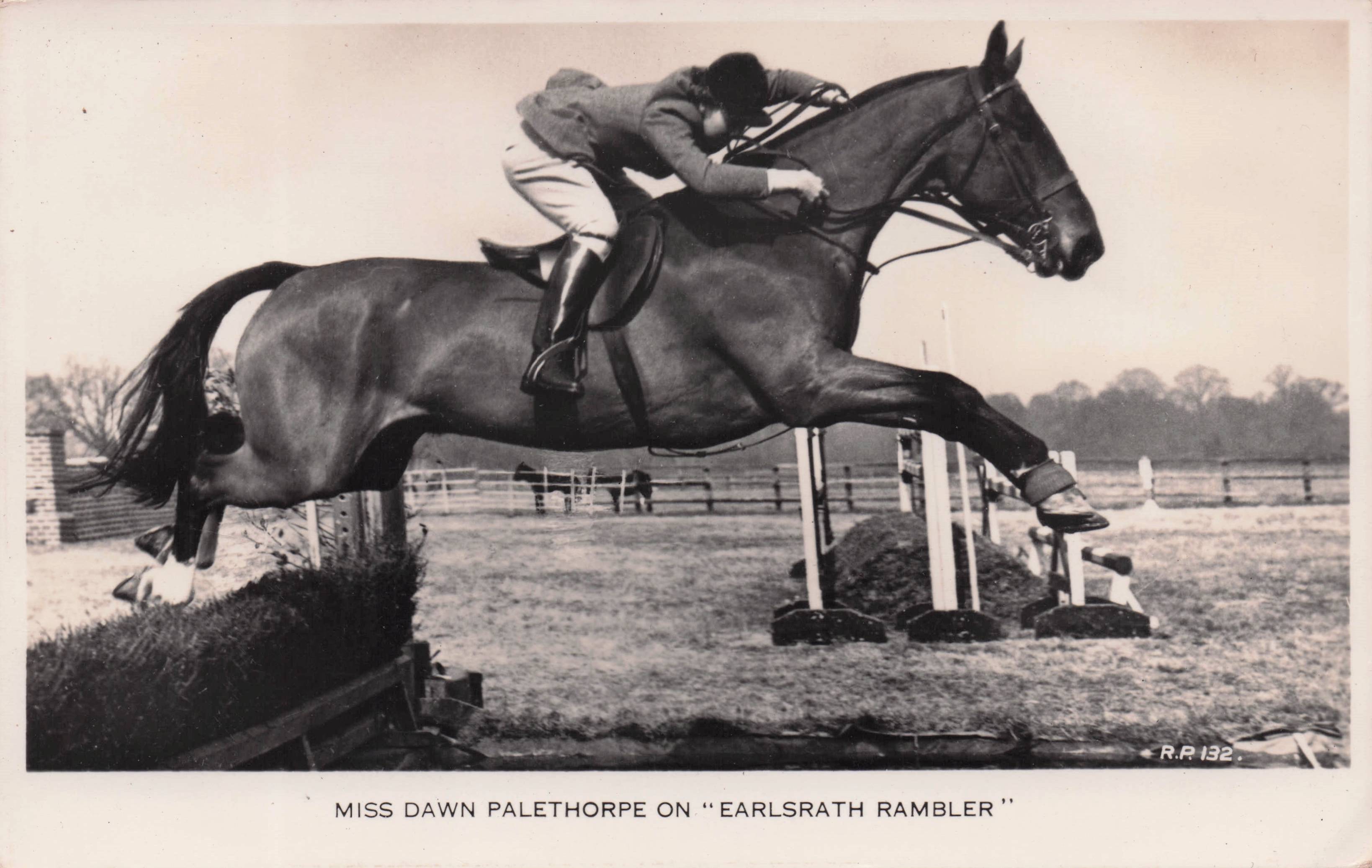 Dawn Palethorpe Earlsrath Rambler 1950s Horse Race Showjumping Postcard